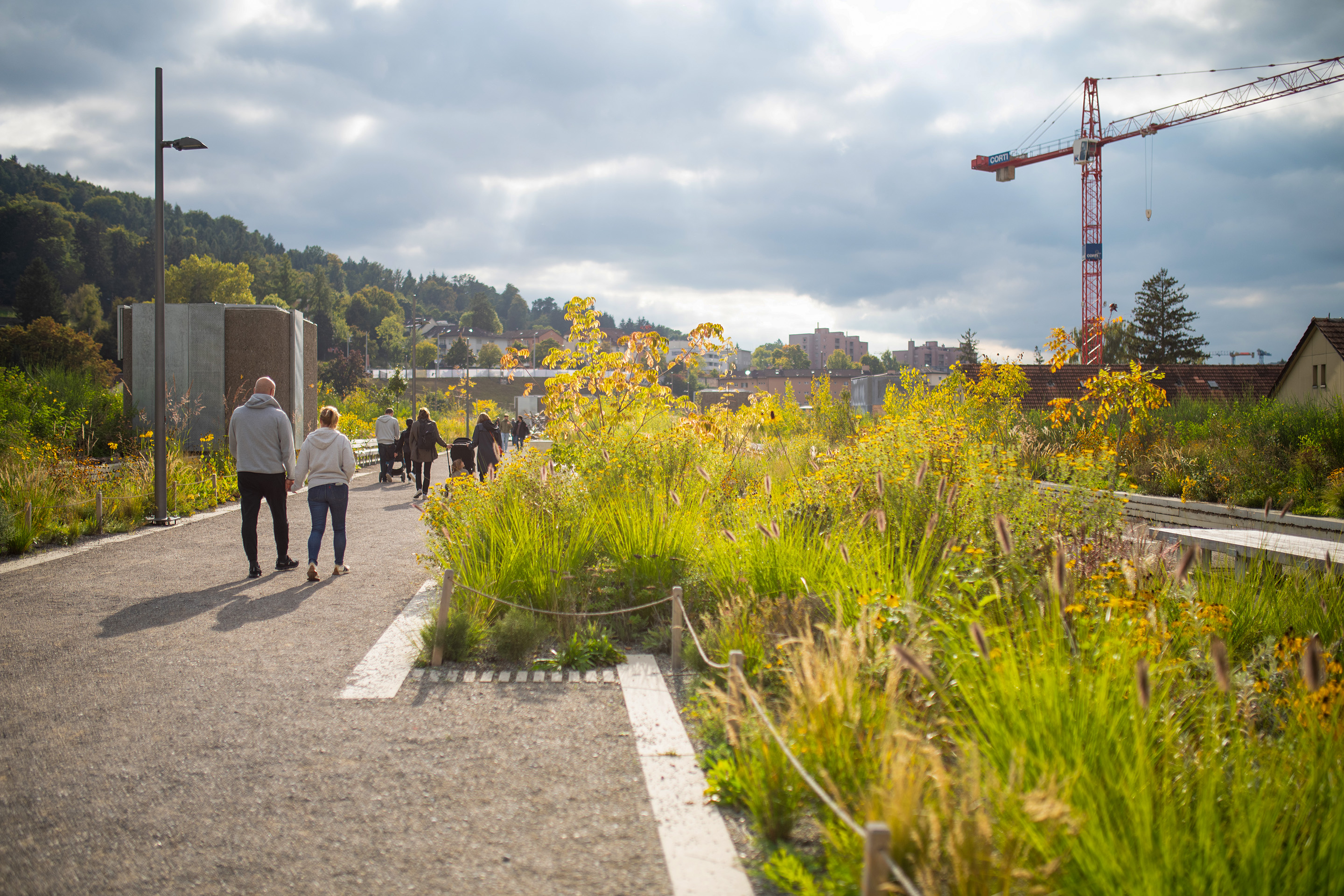 Der Spazierweg auf dem Dach der Einhausung ist flankiert von der Illusion eines Naturraums.