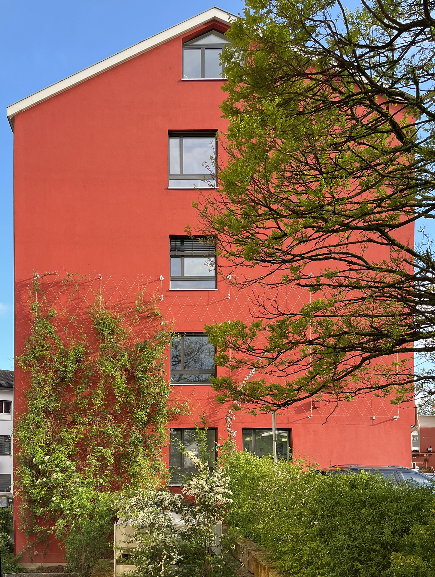 Bepflanzung an der Fassade eines sanierten Gebäudes in Zürich Seebach.