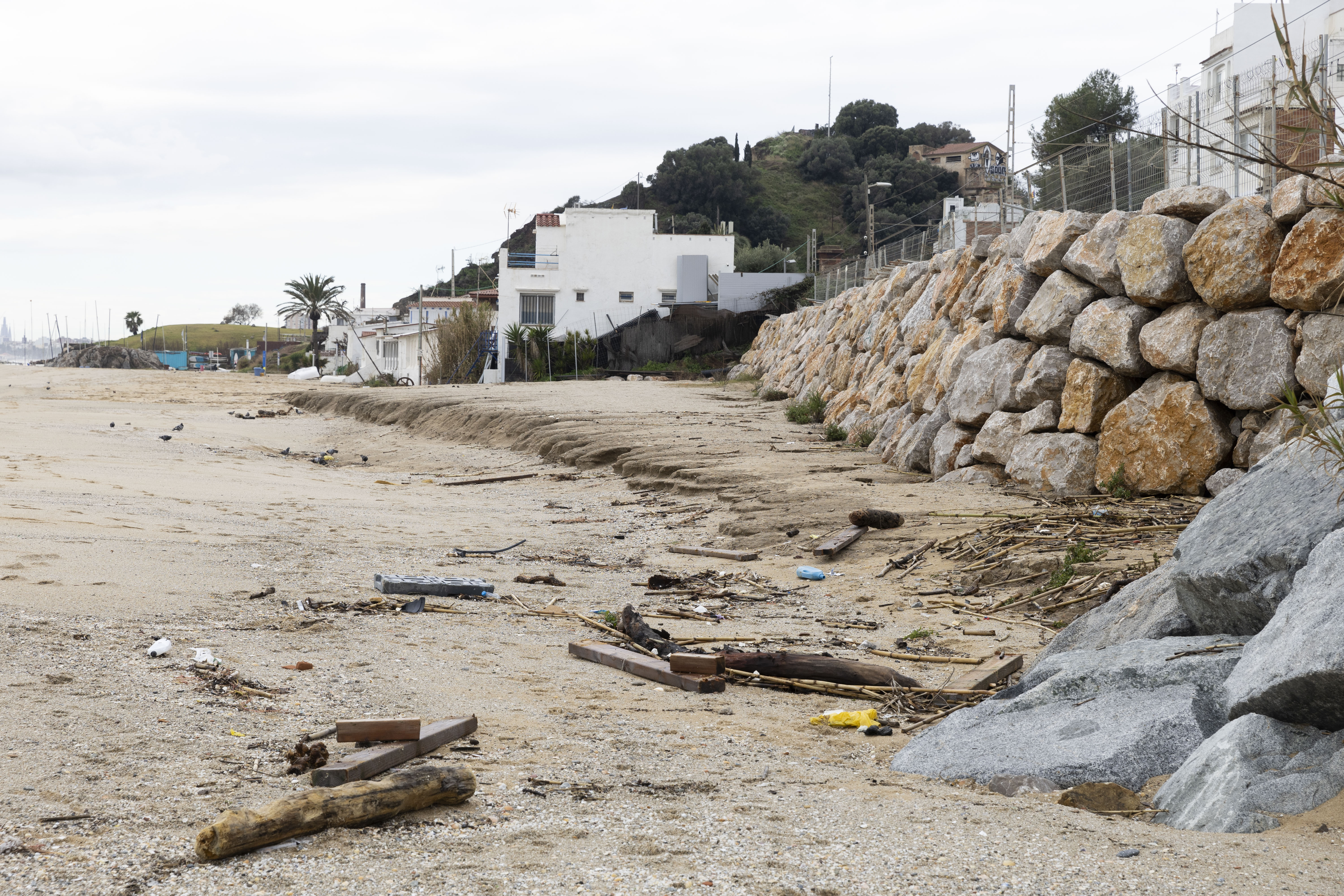 Platja de Montgat (Montgat) - Fin janvier 2026, la tempête Harry a généré un épisode d’intempéries majeur de l’Espagne à l’Italie en passant par Malte et le Maghreb. Du 19 au 21 janvier, elle a causé des dégâts considérables sur le littoral de la région de Barcelone et provoqué une importante érosion des plages.