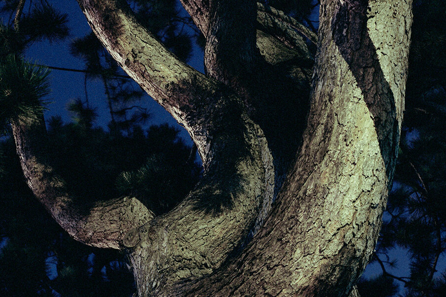 Anthos on Tour, 2025 / 2026