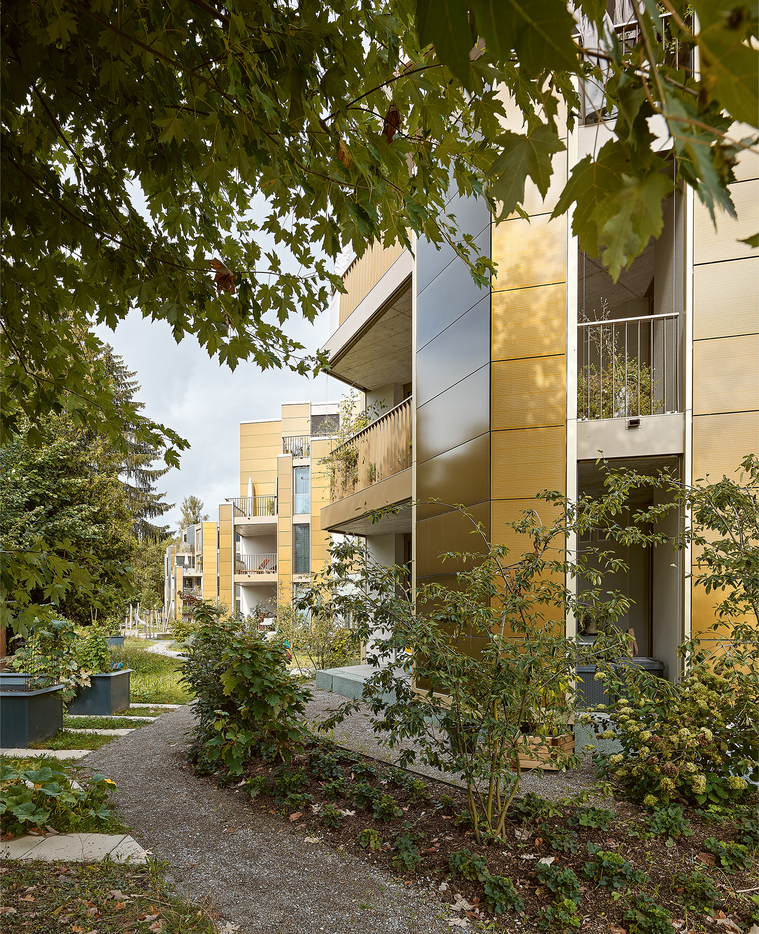 Hinter der goldenen Fassade der Siedlung Lacheren in Schlieren verbergen sich die  PV-Module.