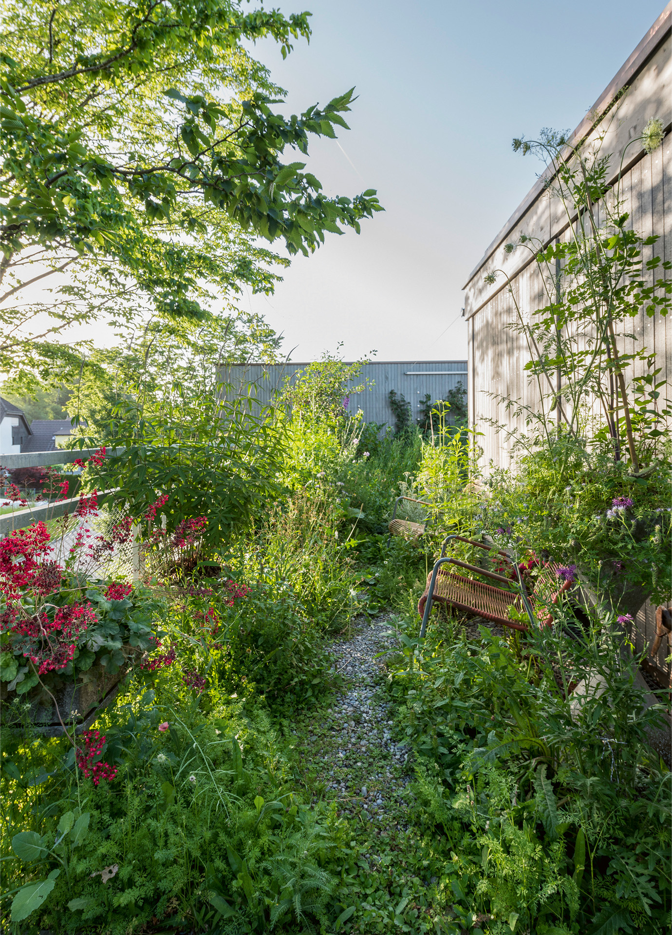 Gemüse, Obst und Kräuter wachsen am Boden, an Fassaden und auf den Dächern und bieten Menschen und anderen Tieren Nahrung.