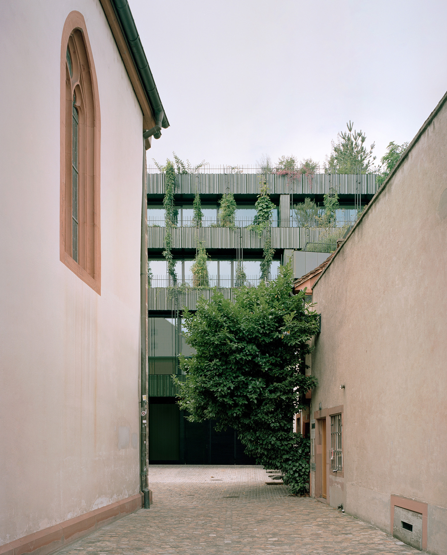 Globus-Basel-Miller-Maranta-Anblick-Martinskirchplatz