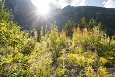 Jardiner: une porte vers l'émerveillement et les courbatures, Genève, 19 mars 2026