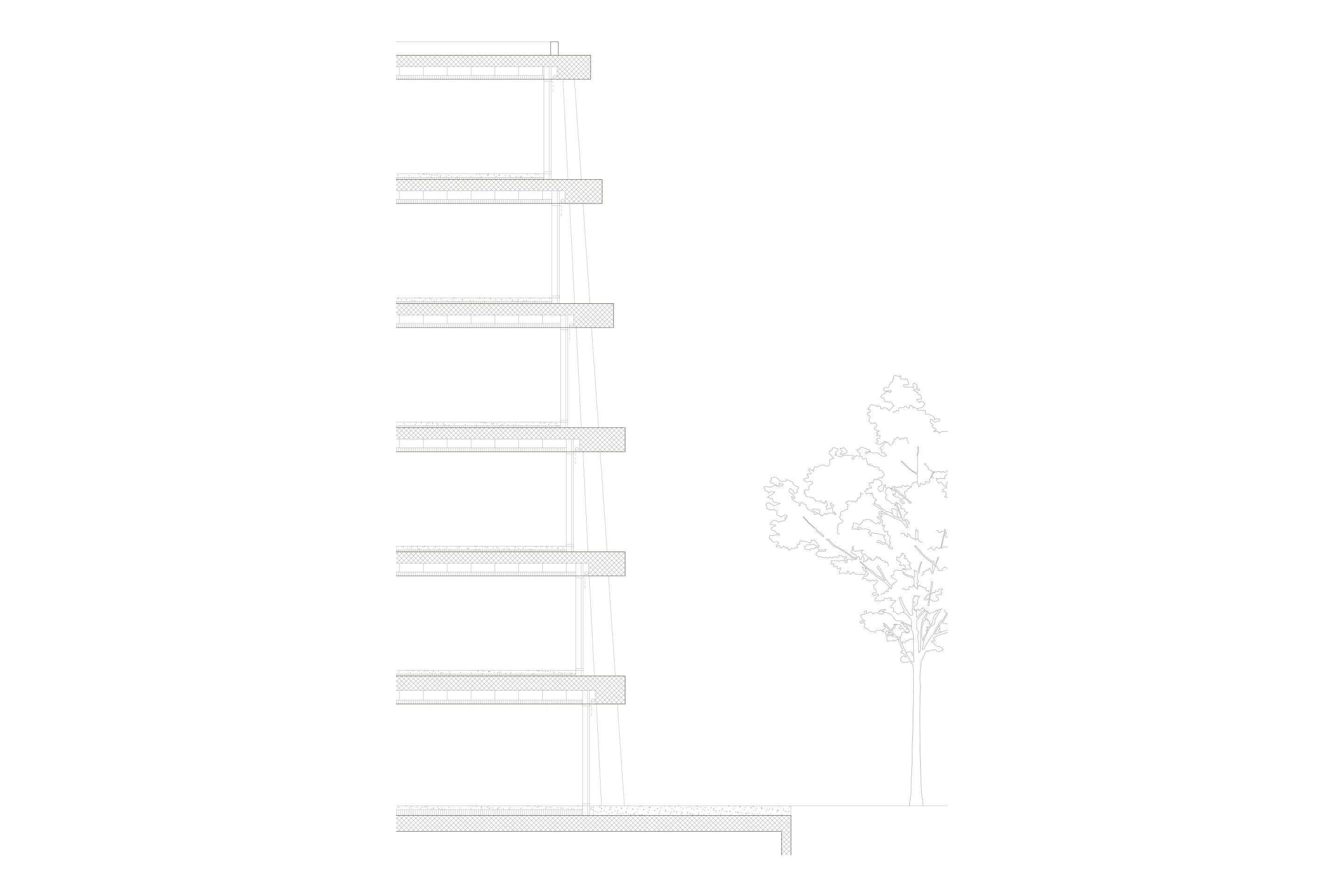 celoria-banca-raiffeisen-sezione-concorso