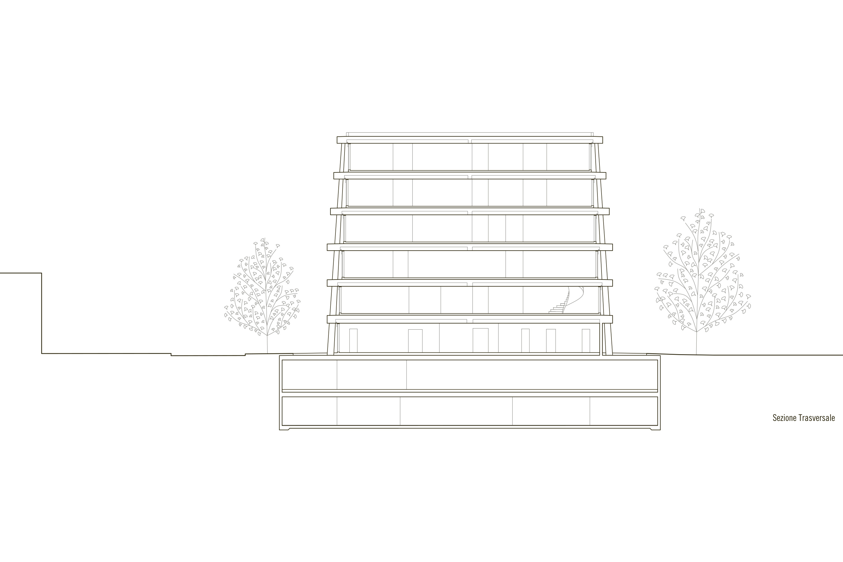 raiffeisen-savosa-bank-section
