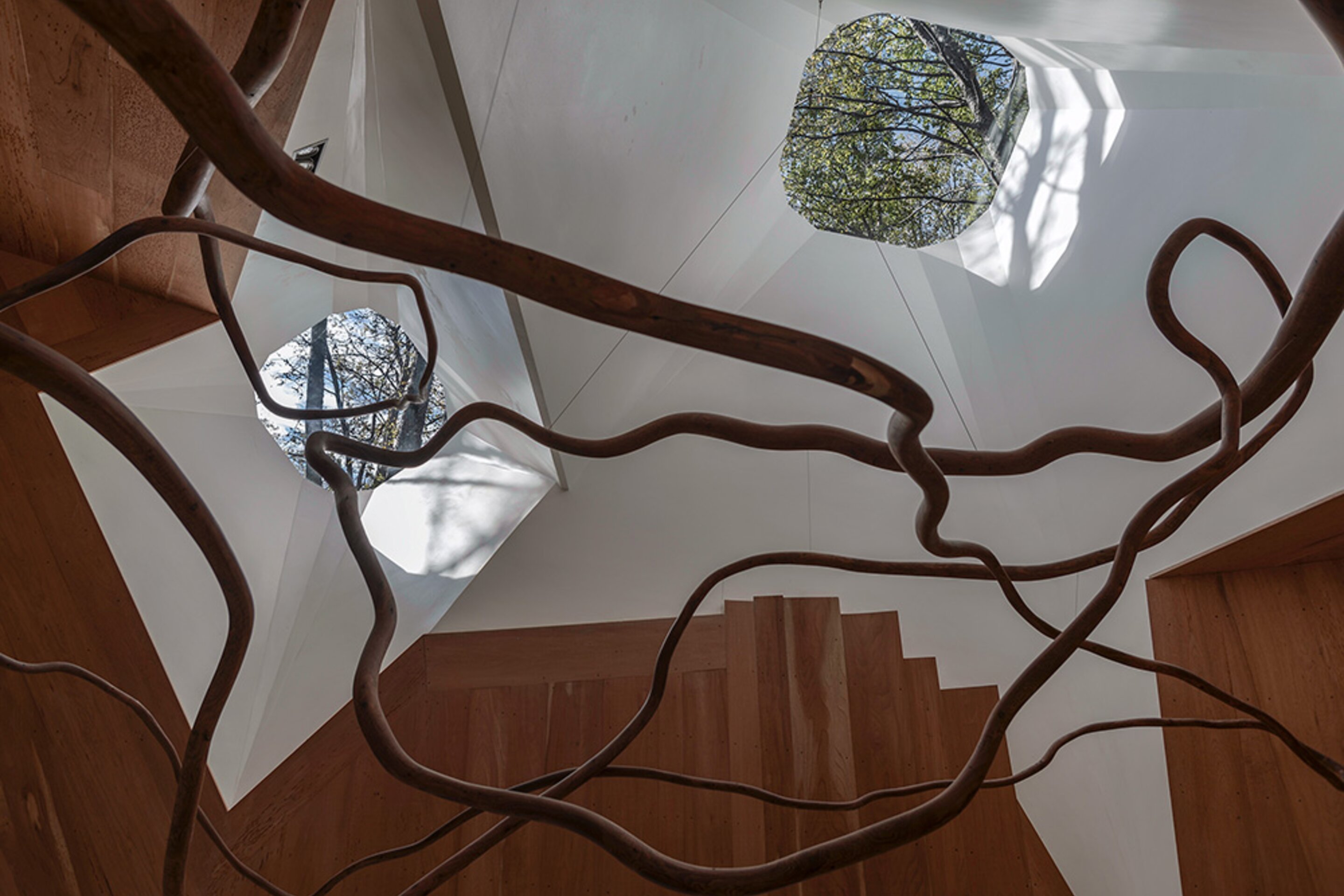 Intérieur de la House for the Poem of the Right Angle, branches et puits de lumière