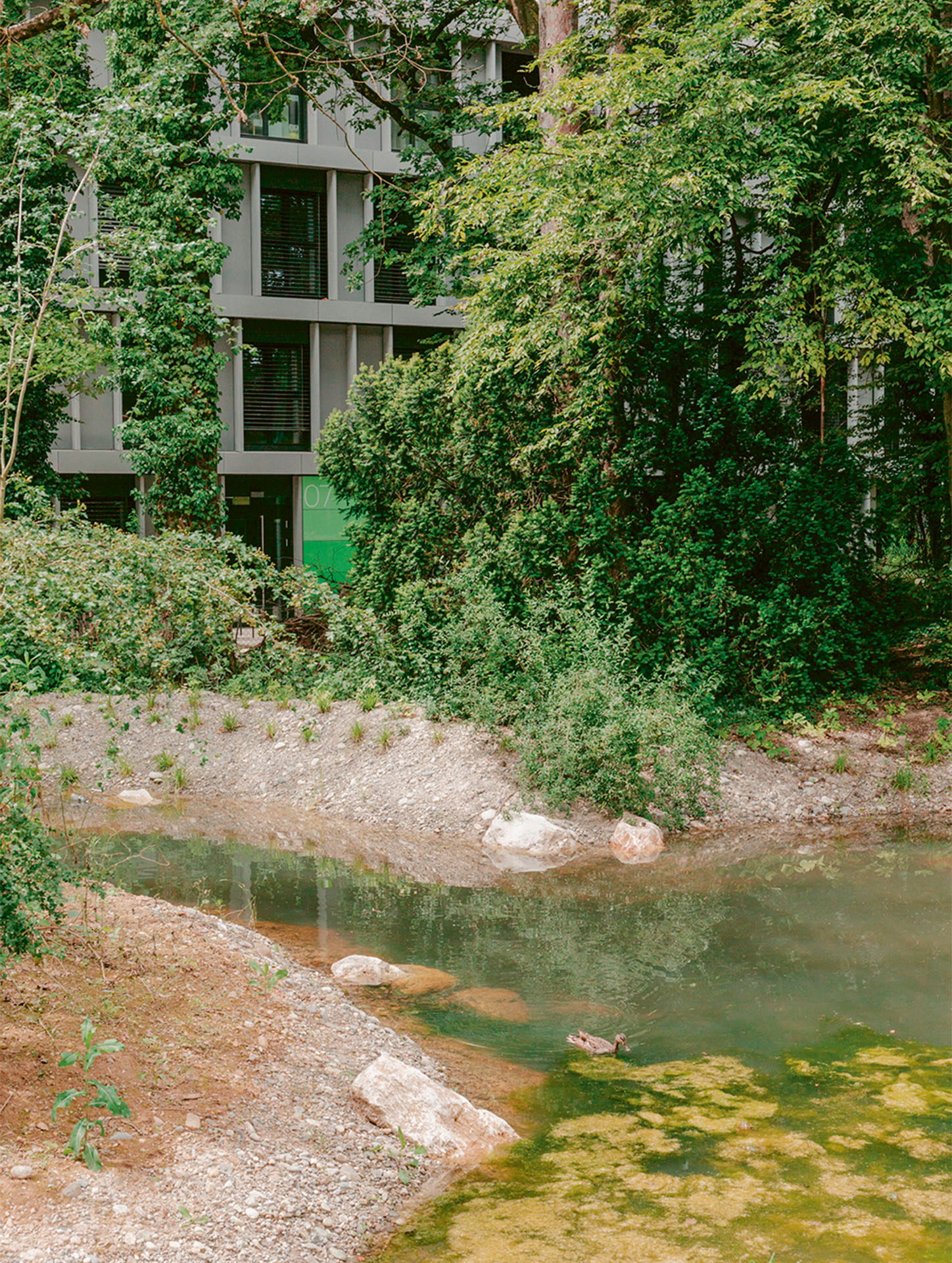 foret-urbaine-apaar-prix-sia-2026-bild.jpg
