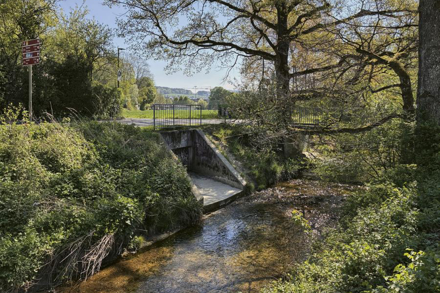 Wasser und Stadt, Winterthur, 4. Juni 2026