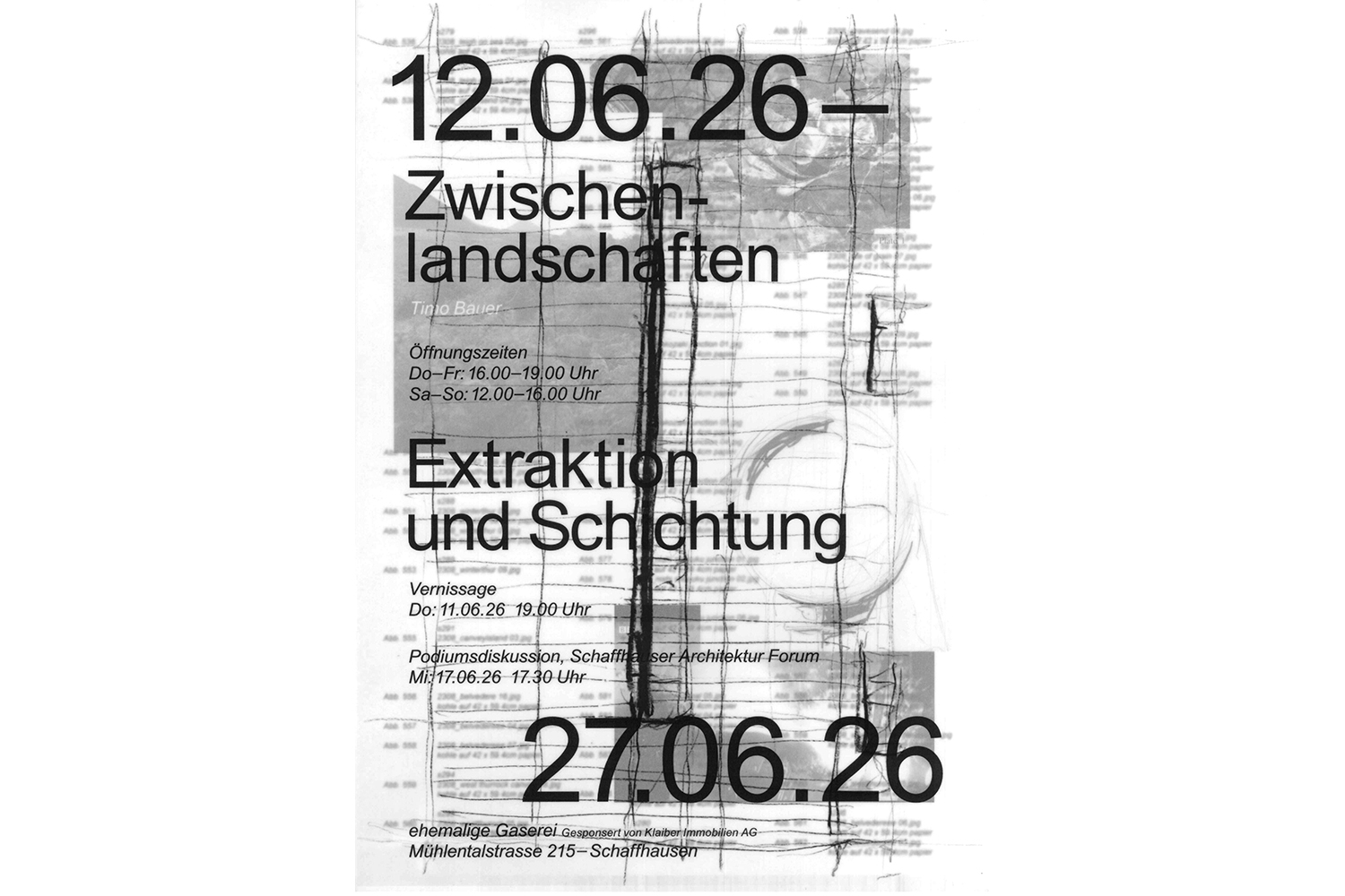 Zwischenlandschaften - Extraktion &amp; Schichtung | Timo Bauer, Schaffhausen, 12. bis 27. Juni 2026