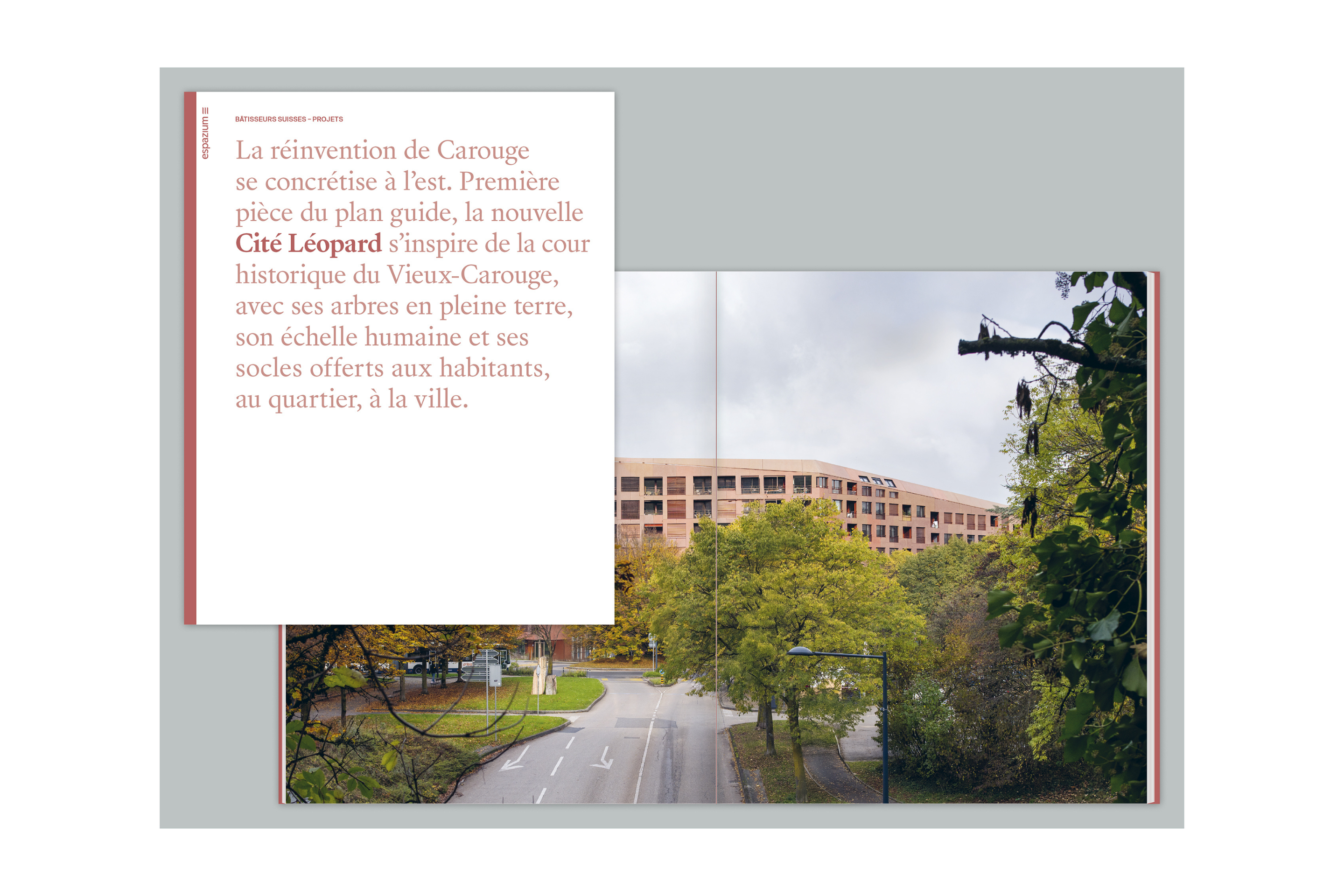 Bâtisseurs suisses-Carouge-Plan Guide- Localarchitecture