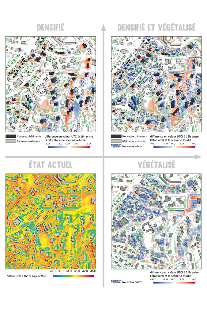 Modélisation de scénarii de densification et végétalisation du Schoenberg