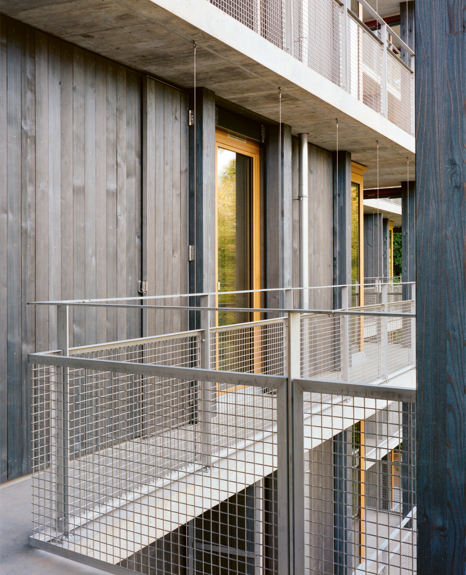 Detailfoto Fassade von Crocodile