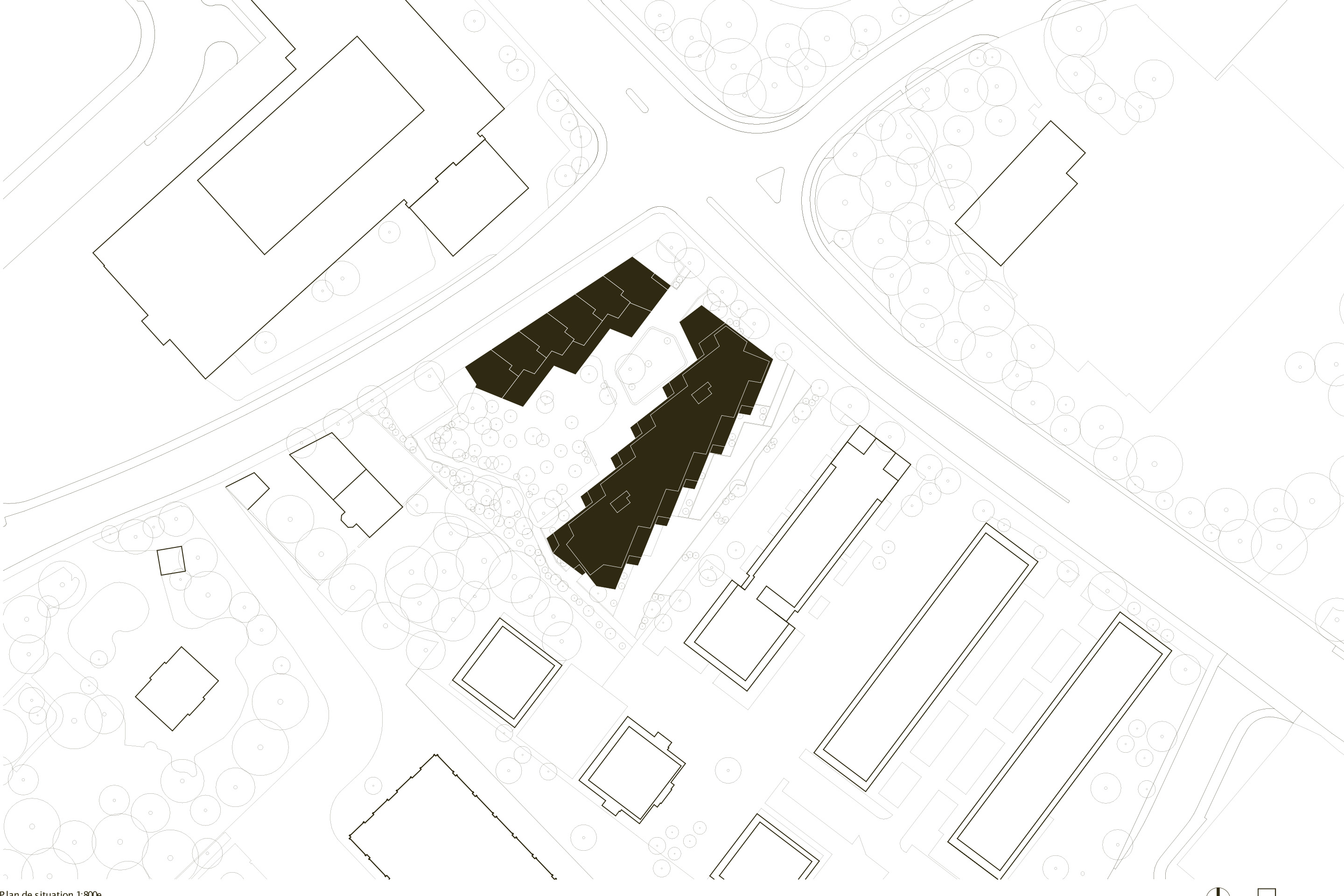 Situationsplan Crocodile