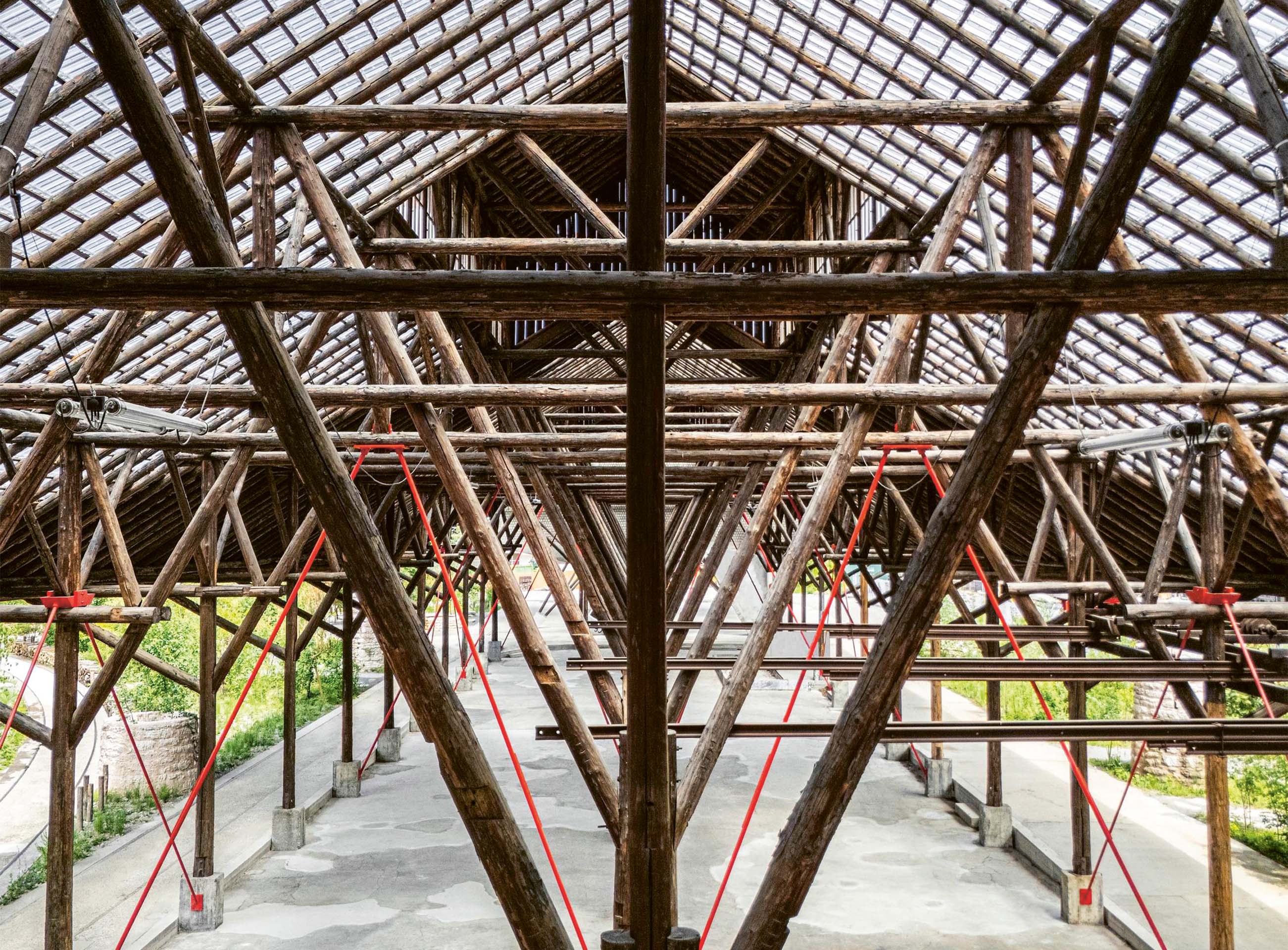 Holzhalle Koch Park Zürich Tragwerk Bild