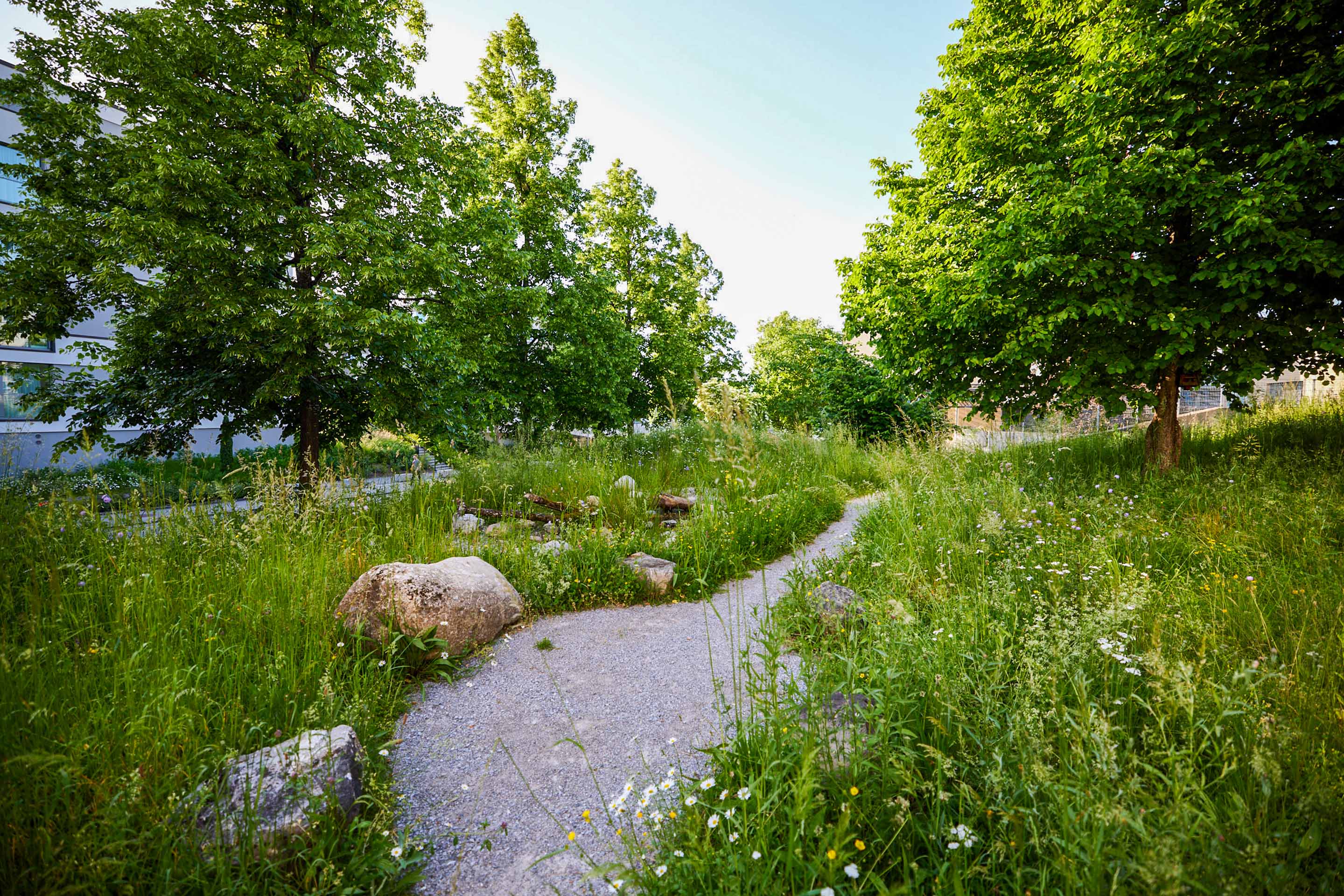 Wiese in Kloten