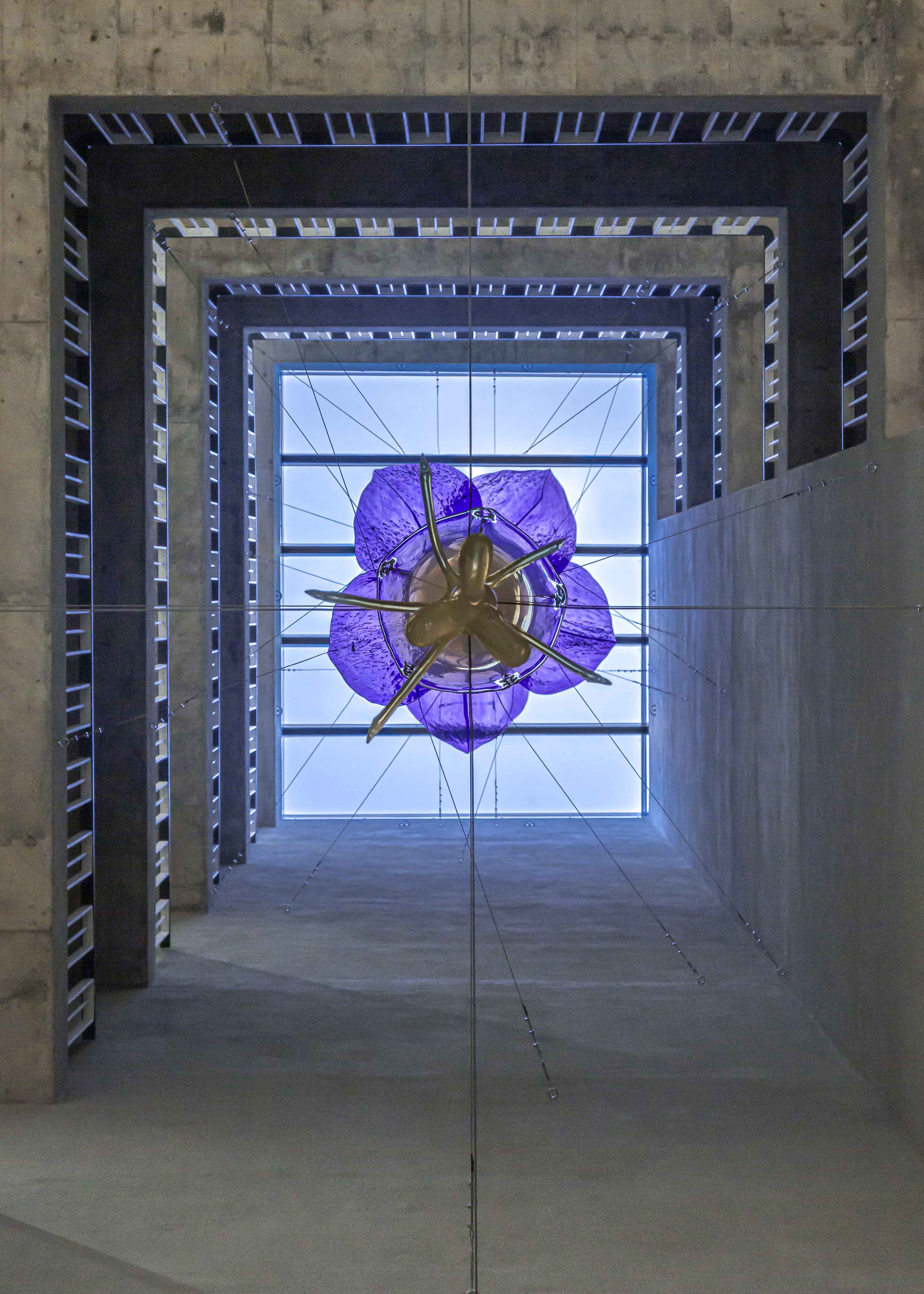 Le Miroir de Vénus, vu depuis le sous-sol
