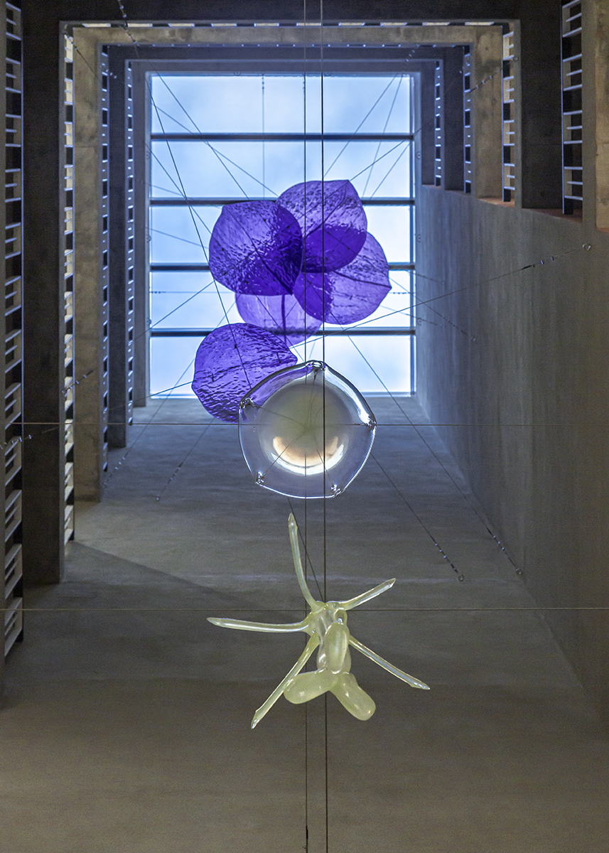 L'image de la fleur se déforme, lorsque l'on change de point de vue.