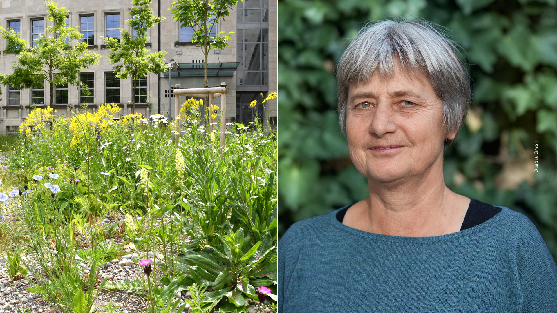 Gudrun Hoppe est ingénieure et architecte paysagiste, experte chez Quadra GmbH.