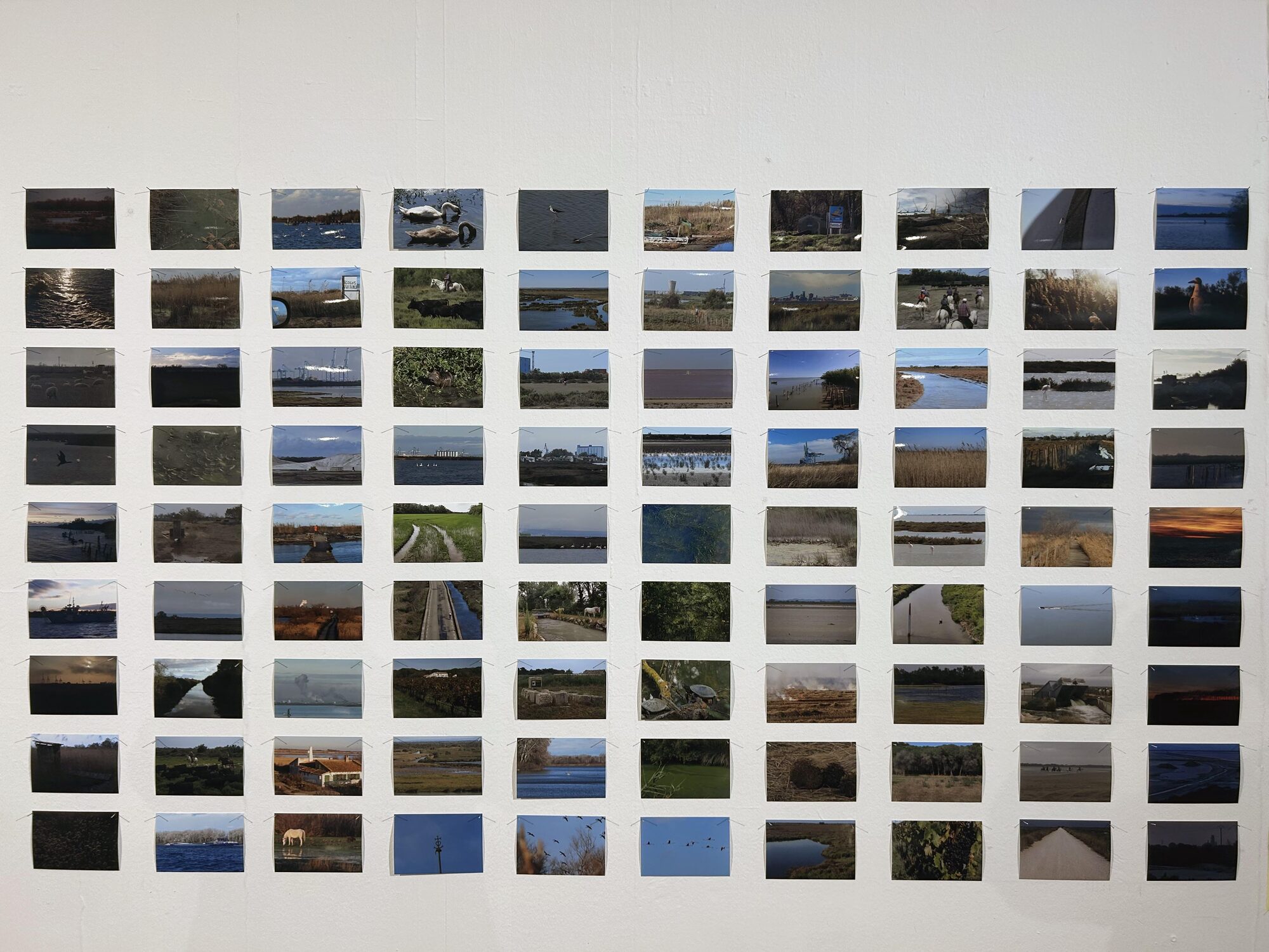 Mur couvert d’une centaine de petites photographies de paysages du delta, du lever au coucher du soleil.