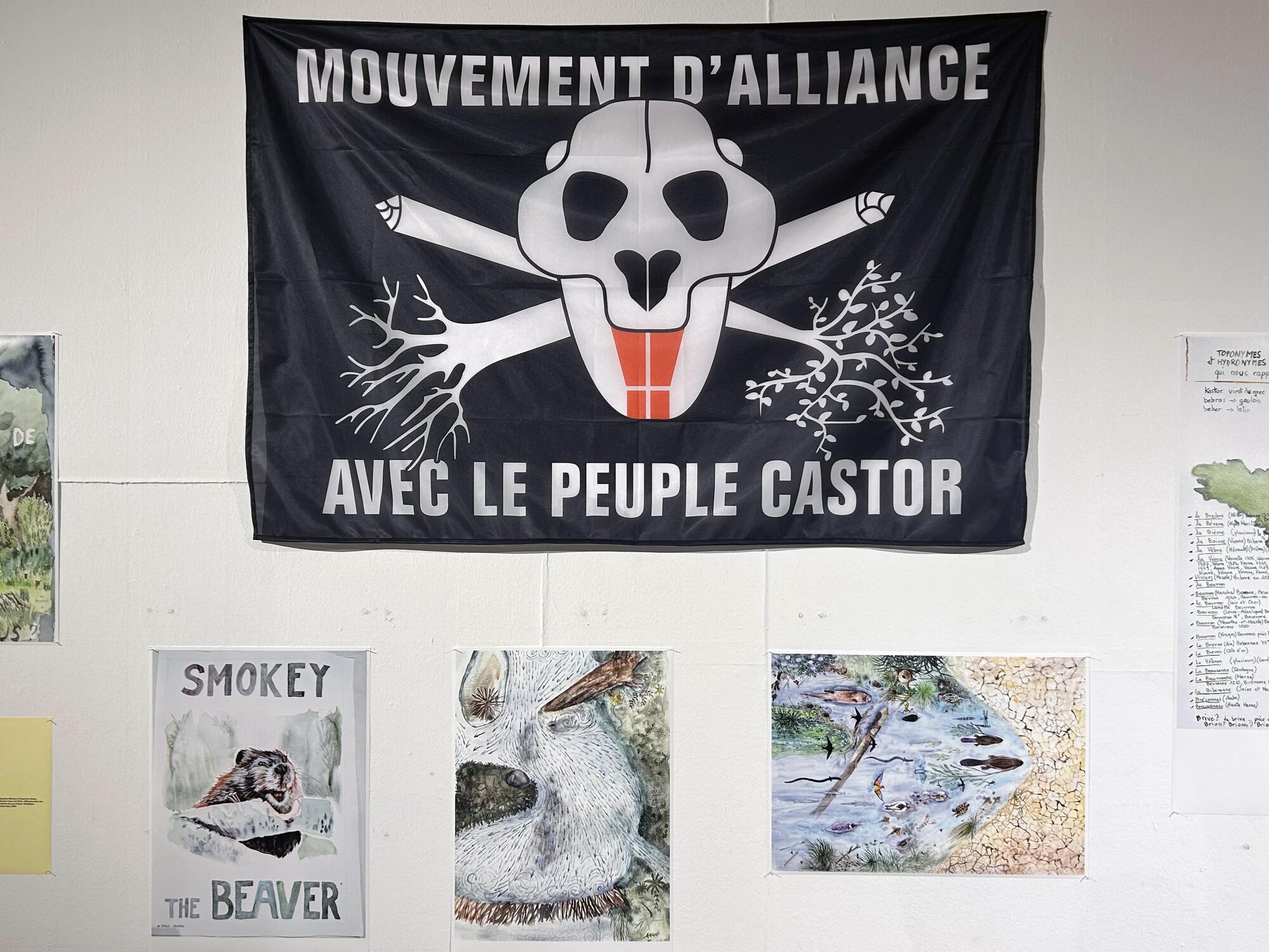 Drapeau noir à tête de castor façon pirate, au-dessus d’affiches et d’aquarelles.