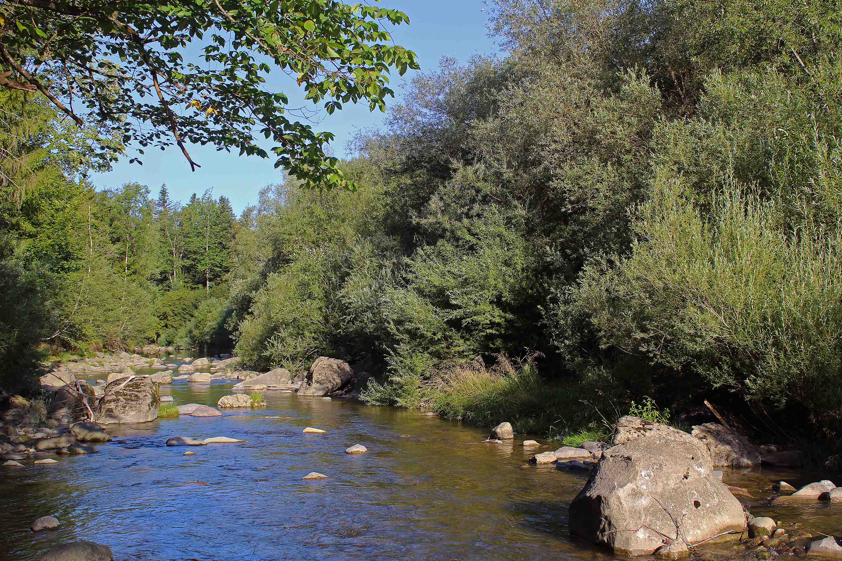 Auenlandschaft