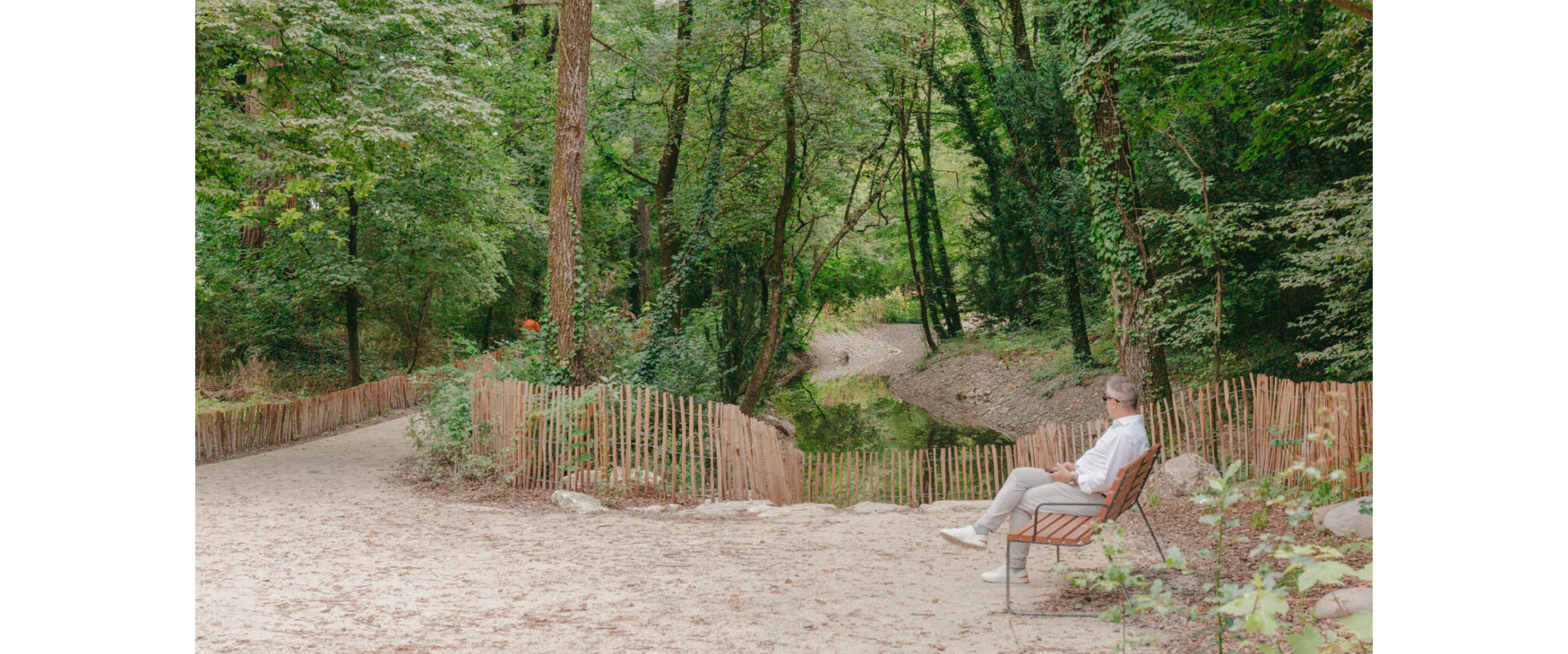 Header-Foret urbaine Vernier.jpg