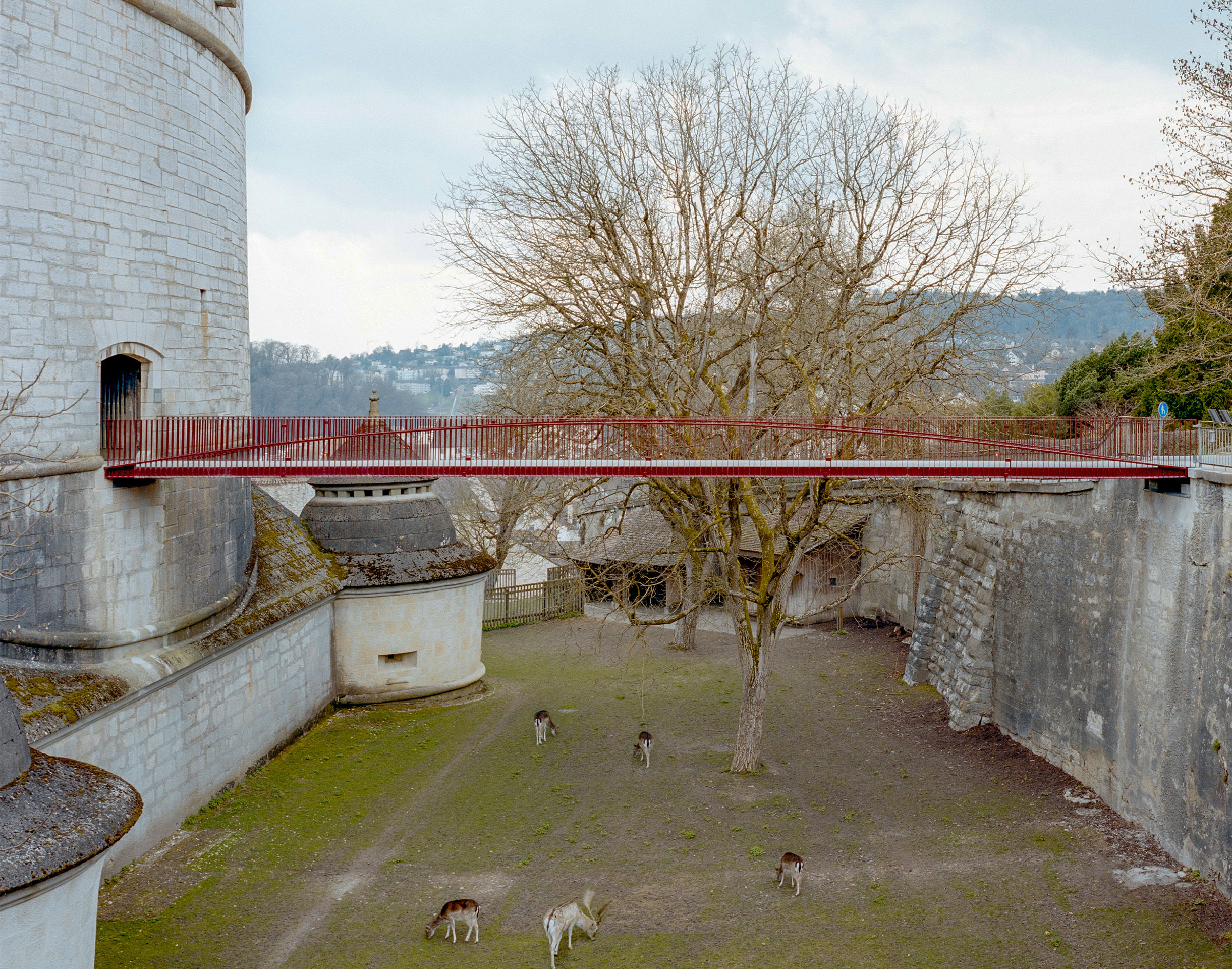 Anerkennung Prix Acier 2026: Munotsteg, Schaffhausen SH