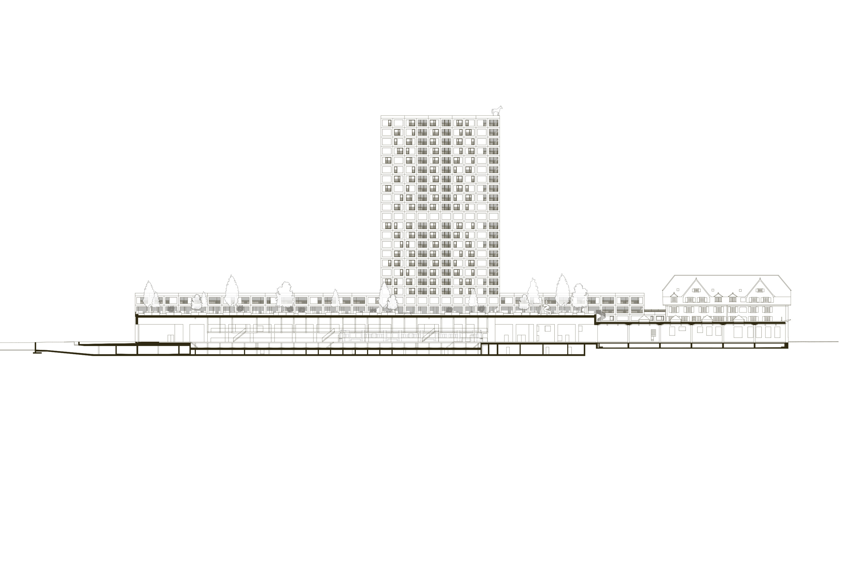 Longitudinal section