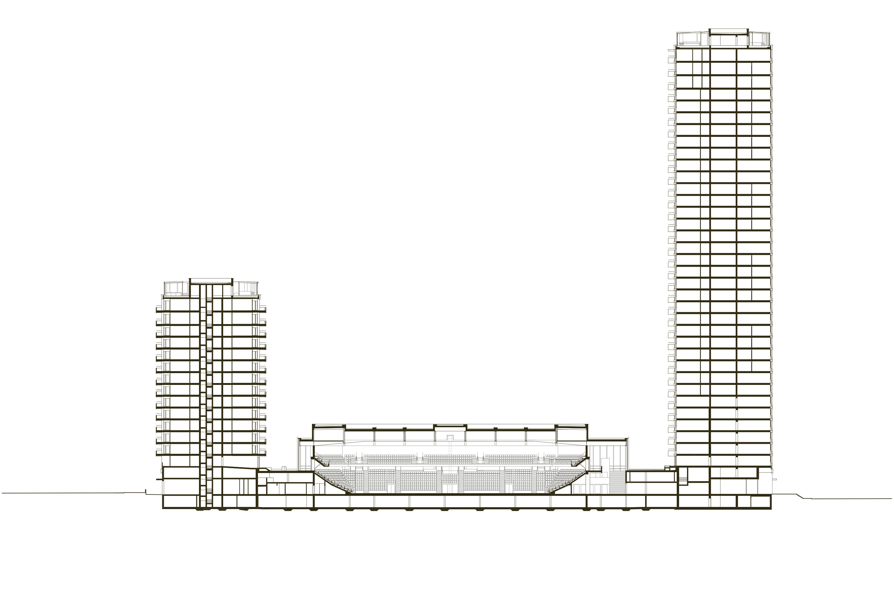 Longitudinal section of the complex