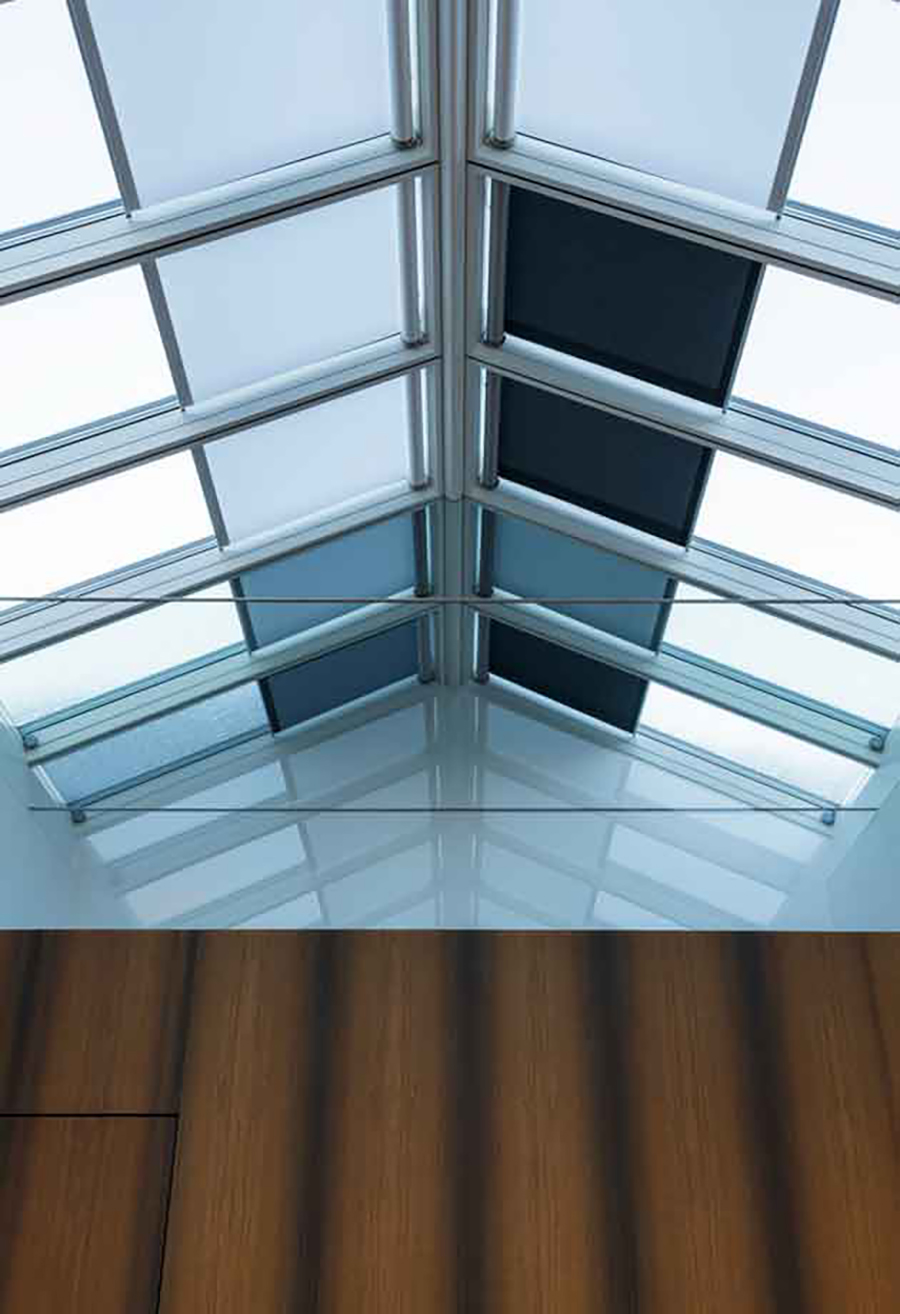 Velux commercial