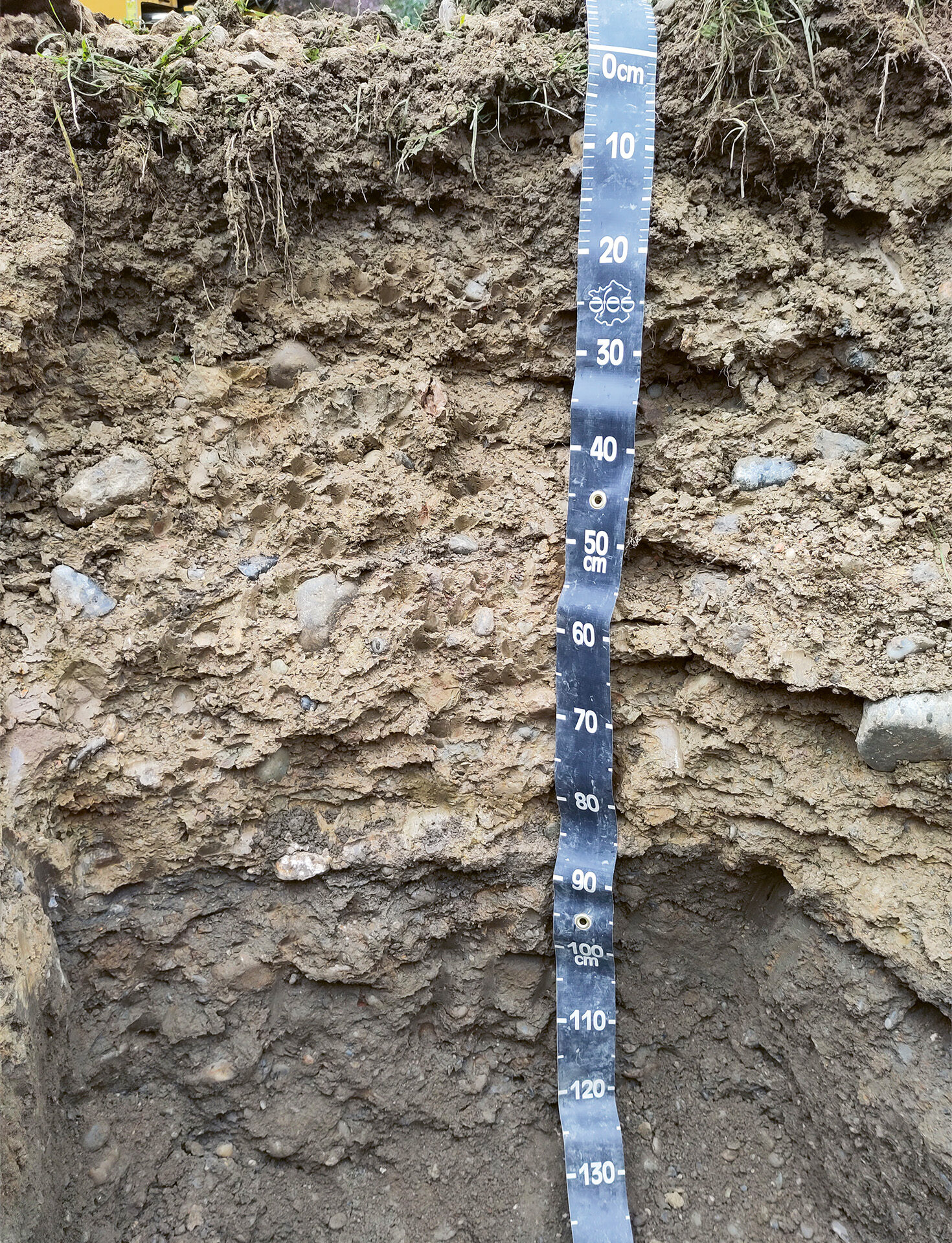 Profil de sol compacté sous la terre végétale, parc du Boulodrome à Carouge