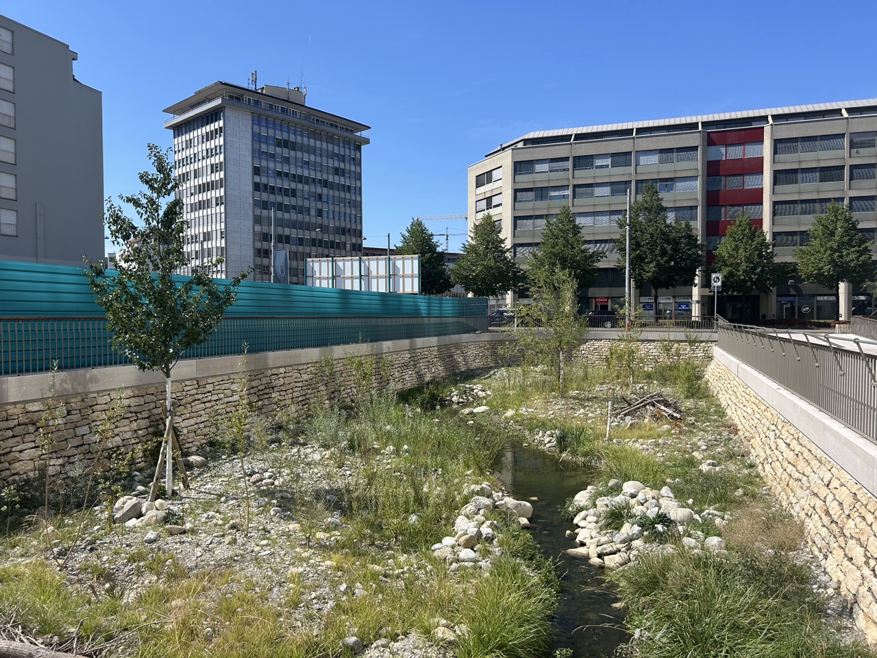 Lit de la Drize, avec blocs de pierre, végétation et murs en pierres sèches, entre des immeubles.