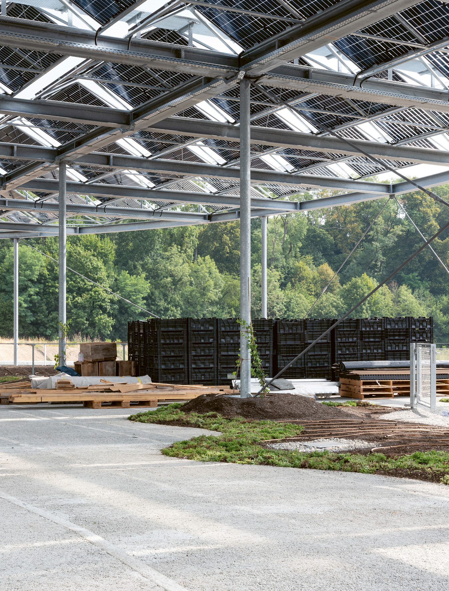 Réal-Campus-Santé-CS-C4-DGIP-Christiane-Nill-1.jpg