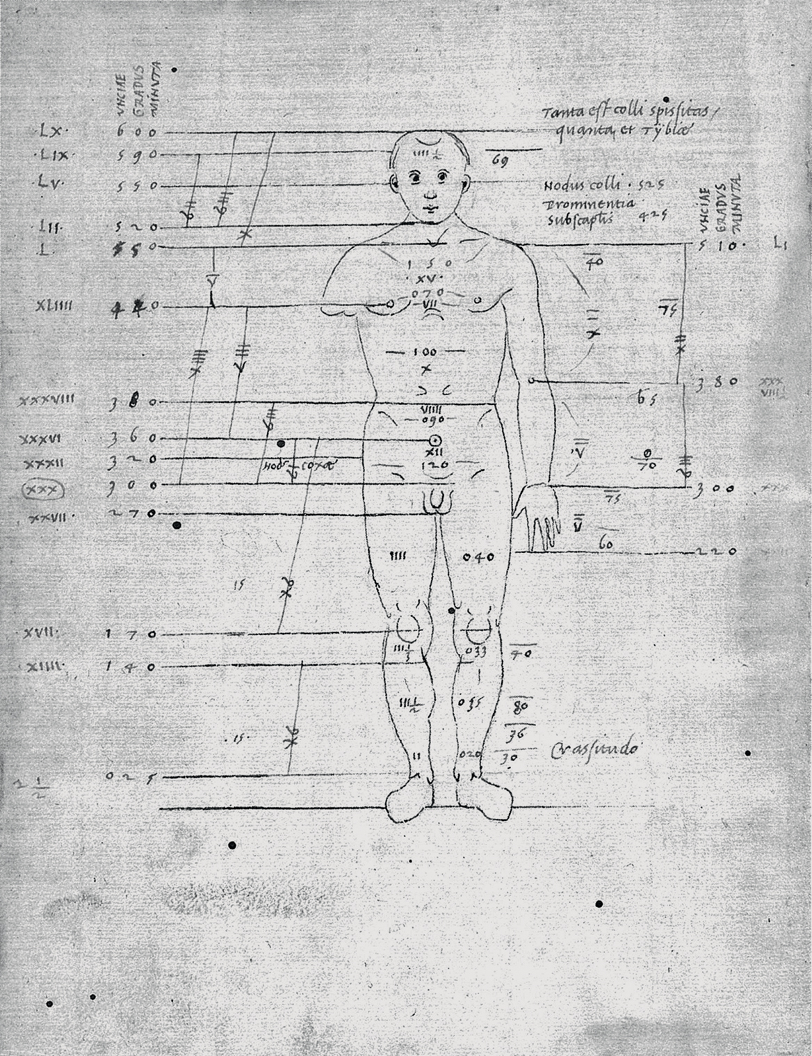 Leon Battista Alberti, Le misure e proporzioni ideali della figura maschile secondo le Tabulae Dimensionorum Hominis, conservato nella Oxford Bodleian Library.