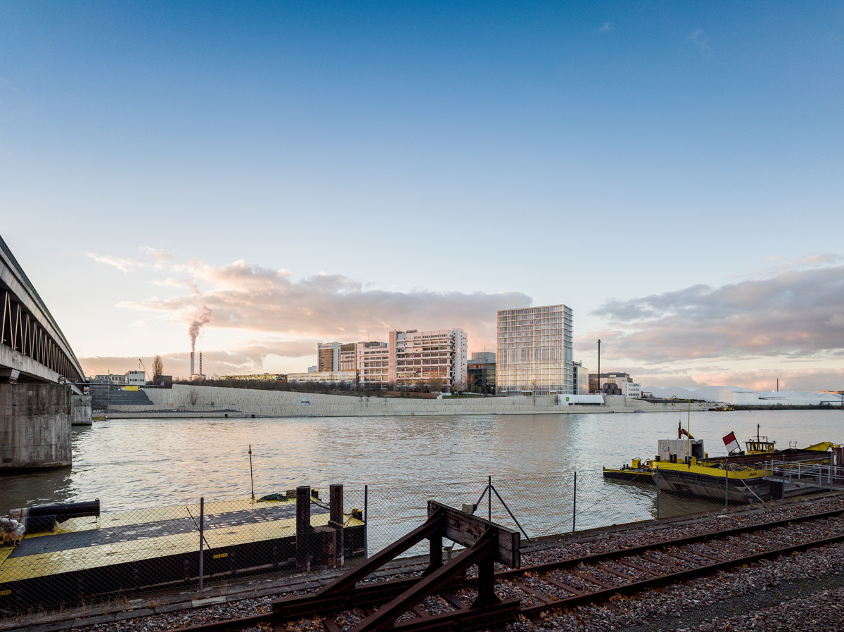 Das Novartis-Areal prägt das Stadtbild von Basel weiträumig.