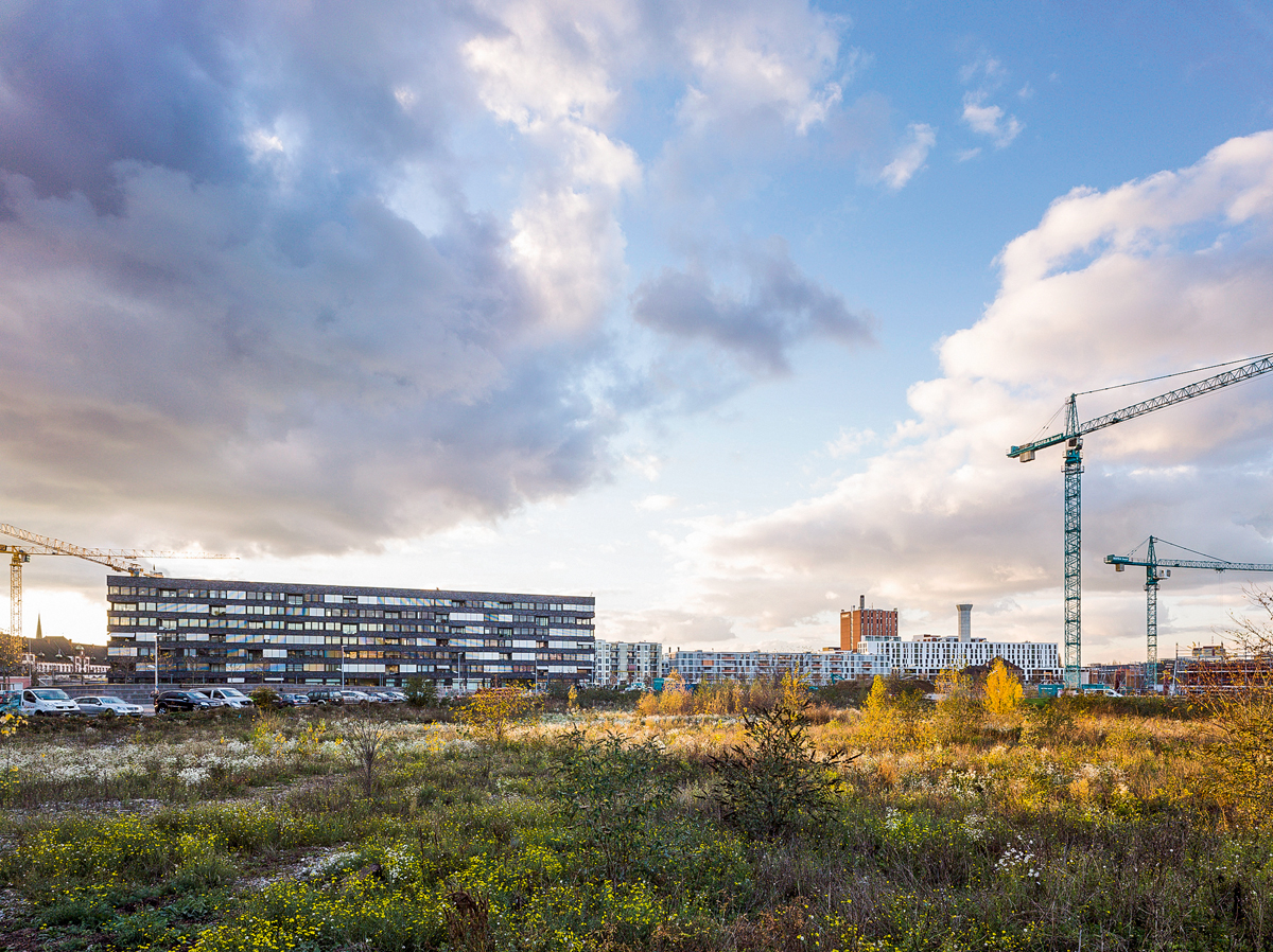 Erlenmatt-Areal: Die Wohnbebauung im Westen ist bereits vollständig umgesetzt. Die Realisierung der Bebauung im östlichen Teil wird mit Spannung erwartet.