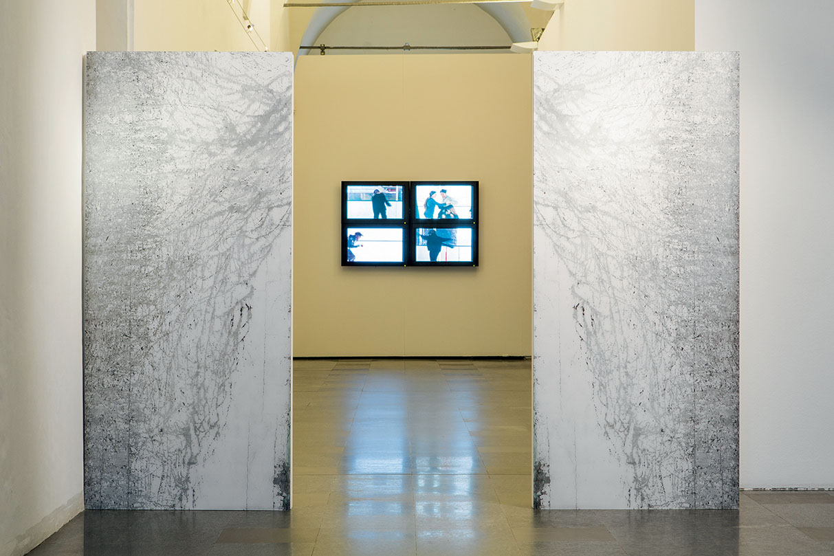 Ali 2010, due elementi 200x90 cm ciascuno. Mariapia Borgnini, mostra personale 2013, Museo Cantonale d’Arte, Lugano.
