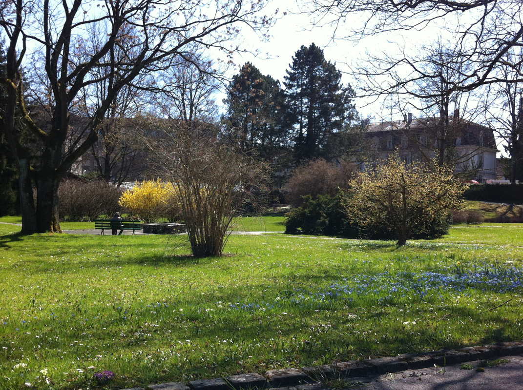 Der auf dem heutigen Friedhofsgelände entstehende hintere Parkteil wird als Grünanlage erhalten bleiben ...