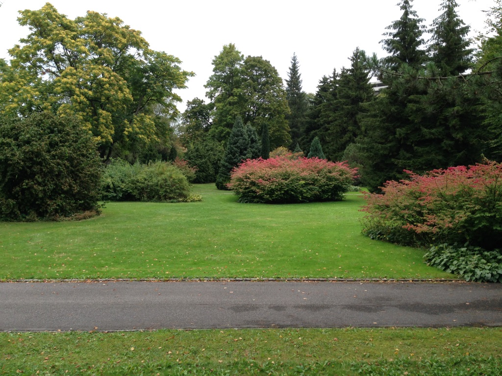 ... Früher befand sich dort ein Grabfeld. Vor drei Jahren wurden die letzten Gräber aufgehoben.