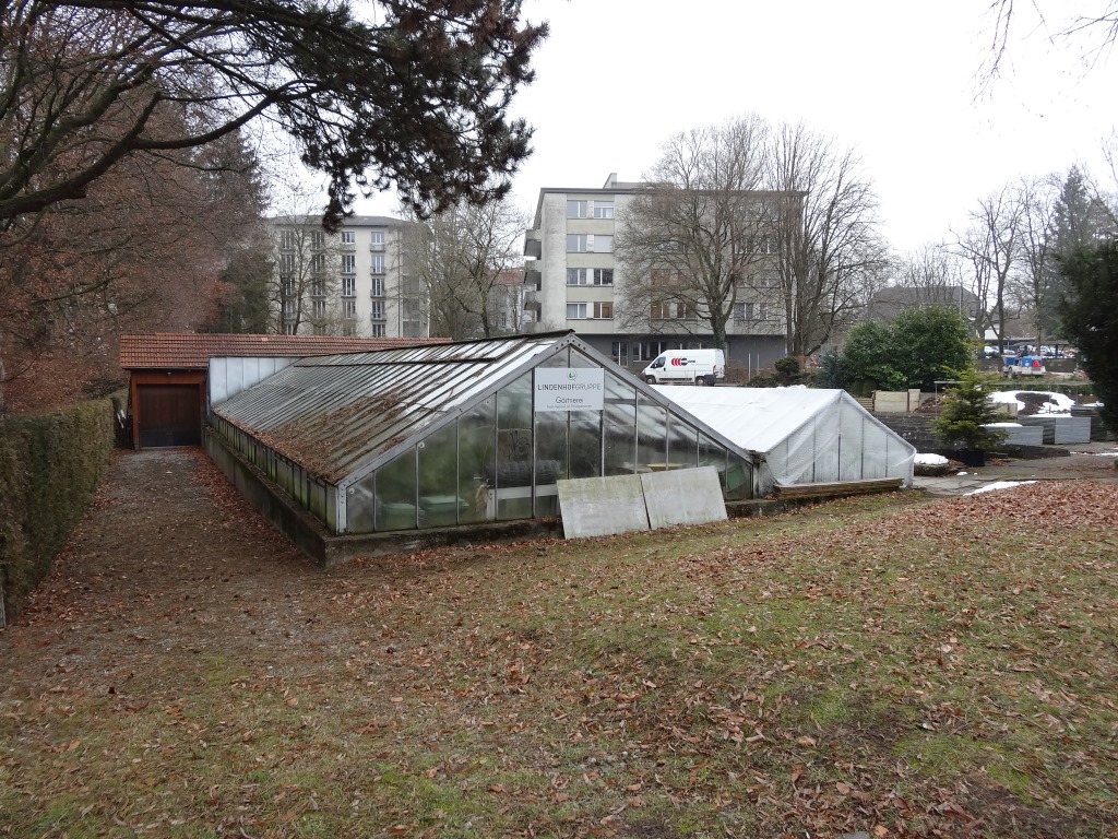 ... Anstelle der Gewächshäuser soll ein terrassierter Kiesplatz entstehen.