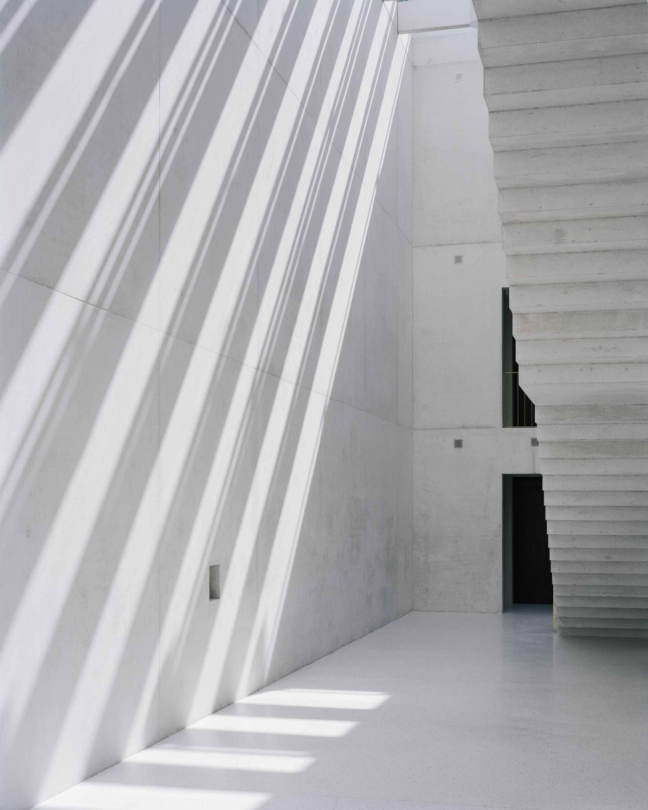 Tribunale Penale Federale, Bellinzona (2013). CdL Bearth &amp; Deplazes Architekten, Coira-Zurigo; Durisch + Nolli Architetti, Lugano.