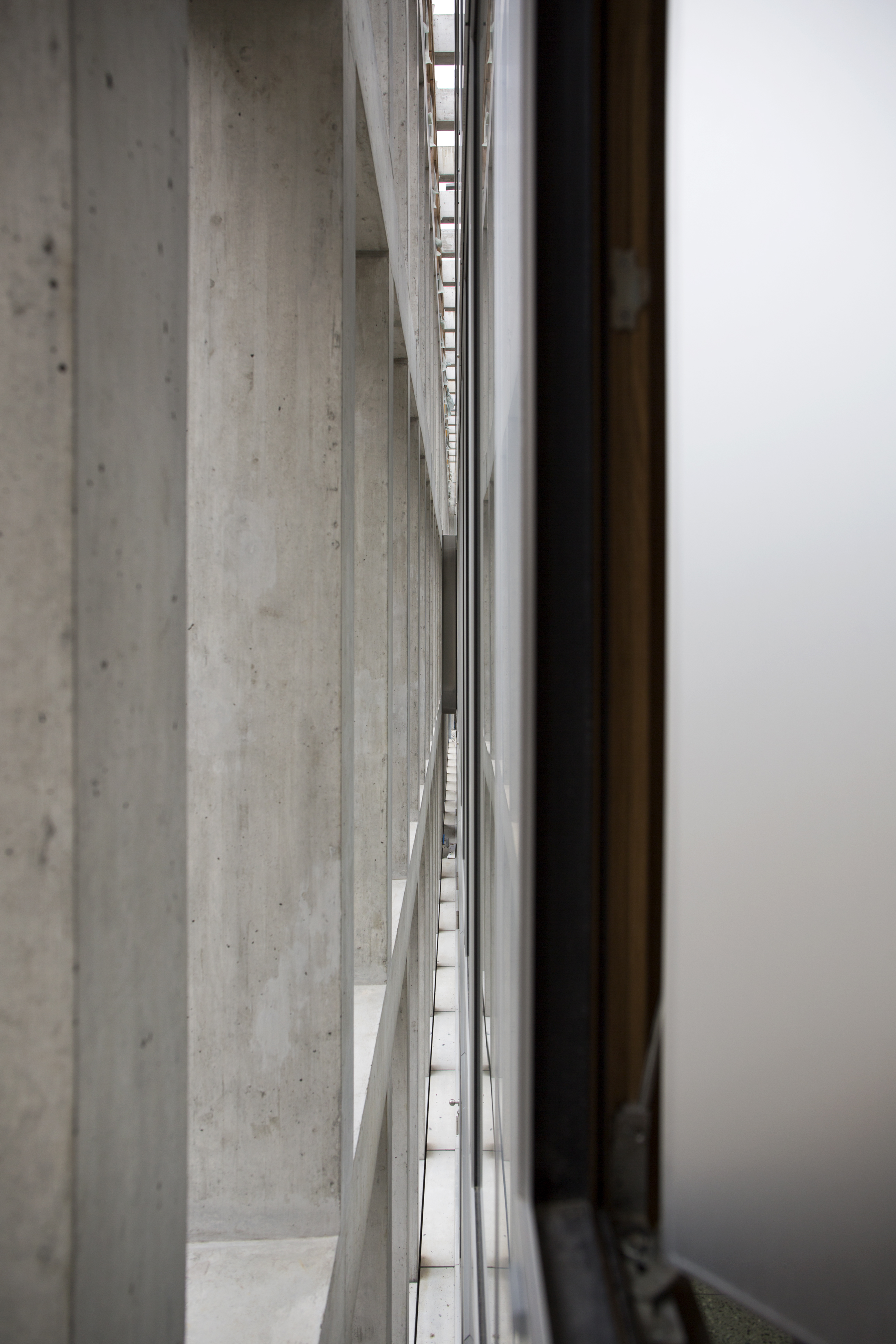 Nuova sede amministrativa AET, Monte Carasso (2015). Consorzio Architetti Lukas Meyer, Ira Piattini, Francesco Fallavollita, Lamone