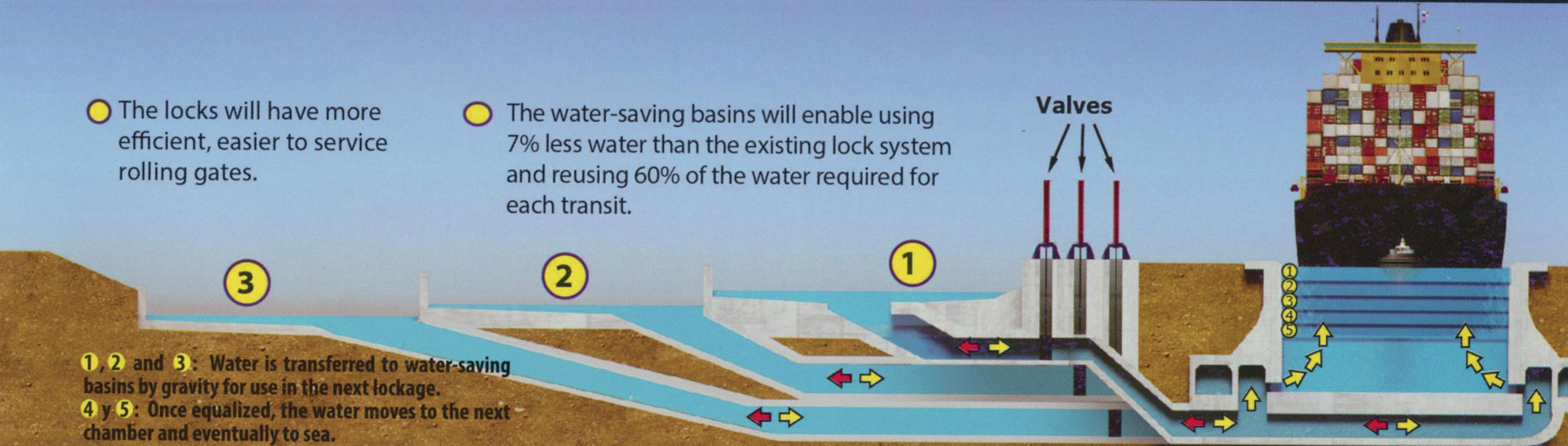 Système des bassins latéraux auxiliaires
