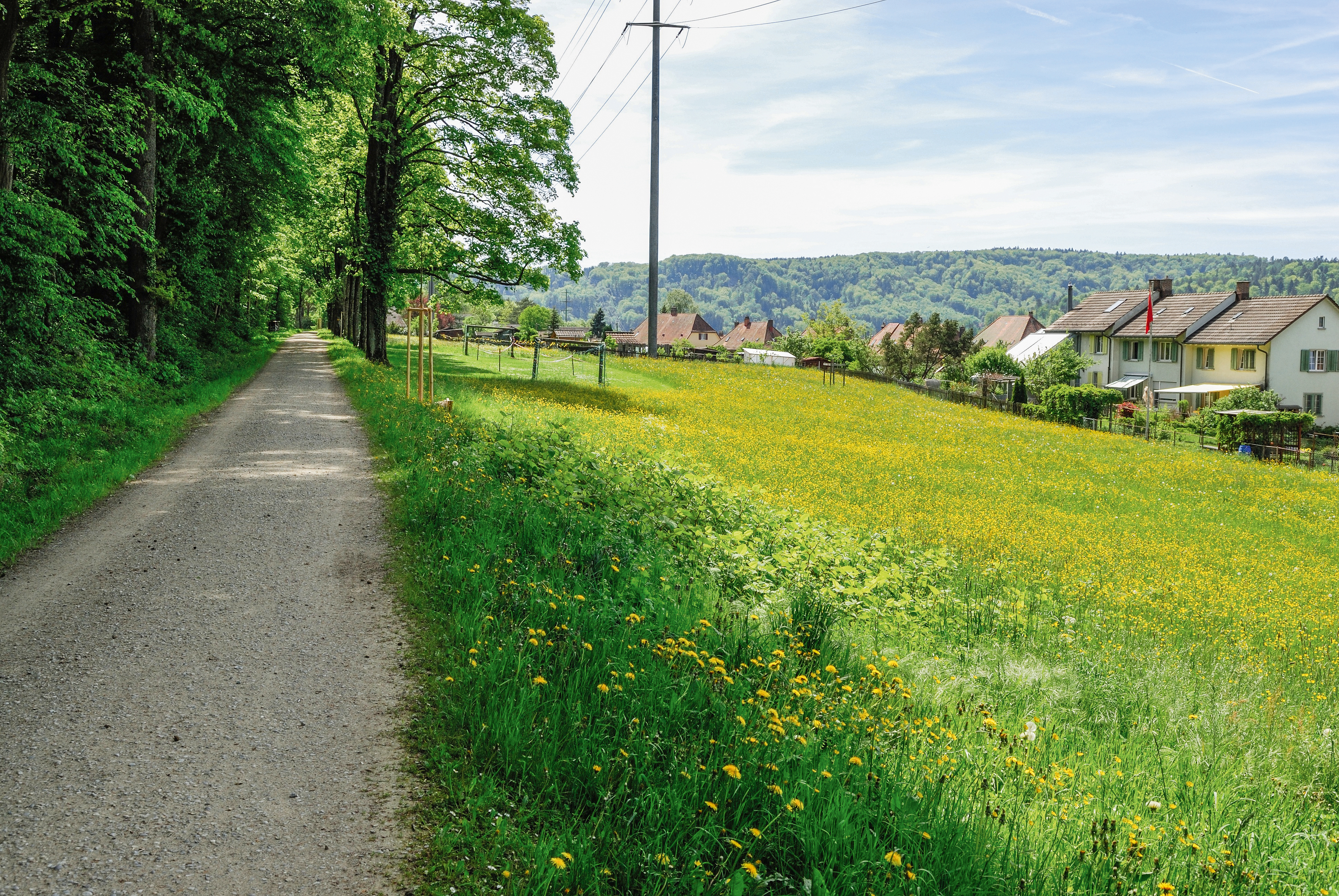 Sieben bewaldete Hügel: Damit die Qualität der Gartenstadt Winterthur angesichts der zunehmenden Verdichtung auch in Zukunft erlebbar sein kann, müssen die unterschied­lichen Freiräume nachhaltig gefördert und miteinander vernetzt werden. Ein spezielles Augenmerk ist auch auf die ans Siedlungsgebiet grenzenden Waldrandzonen zu richten.