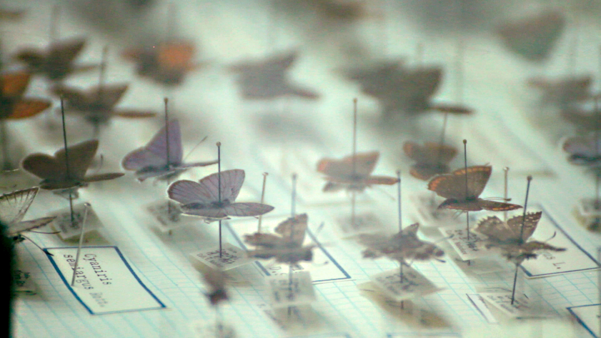 Evgeny Antufiev con Martin Rüsch, pastore Grossmünster, Zurigo.