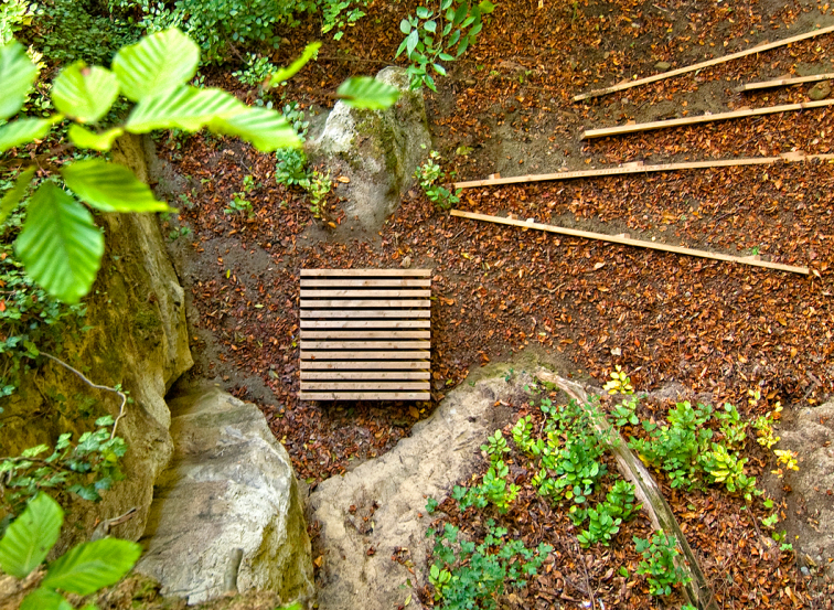 Rhize (racine) intervention atelier ar-ter avec Daniel Kunzi et Elena Cogato Lanza à Lausanne Jardin 2010