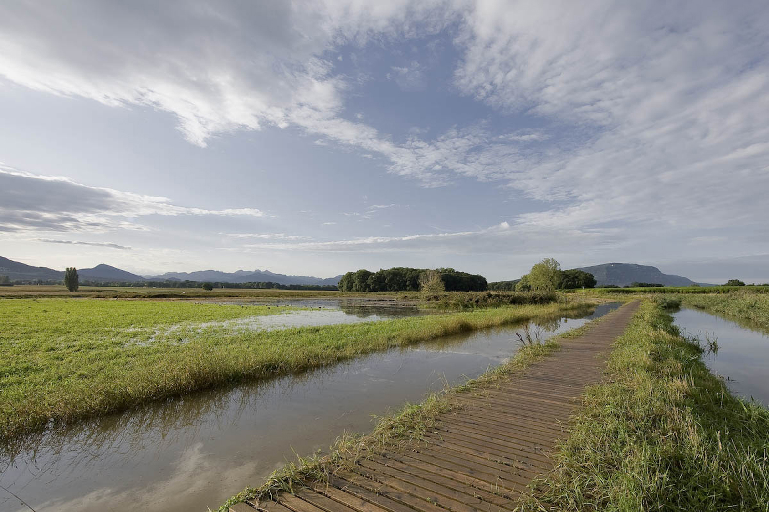 La «renaturation» de la Seymaz une expérience de projet interdisciplinaire avec les ingénieurs et démarche participative (contrat social) avec les agriculteurs et les communes riveraines