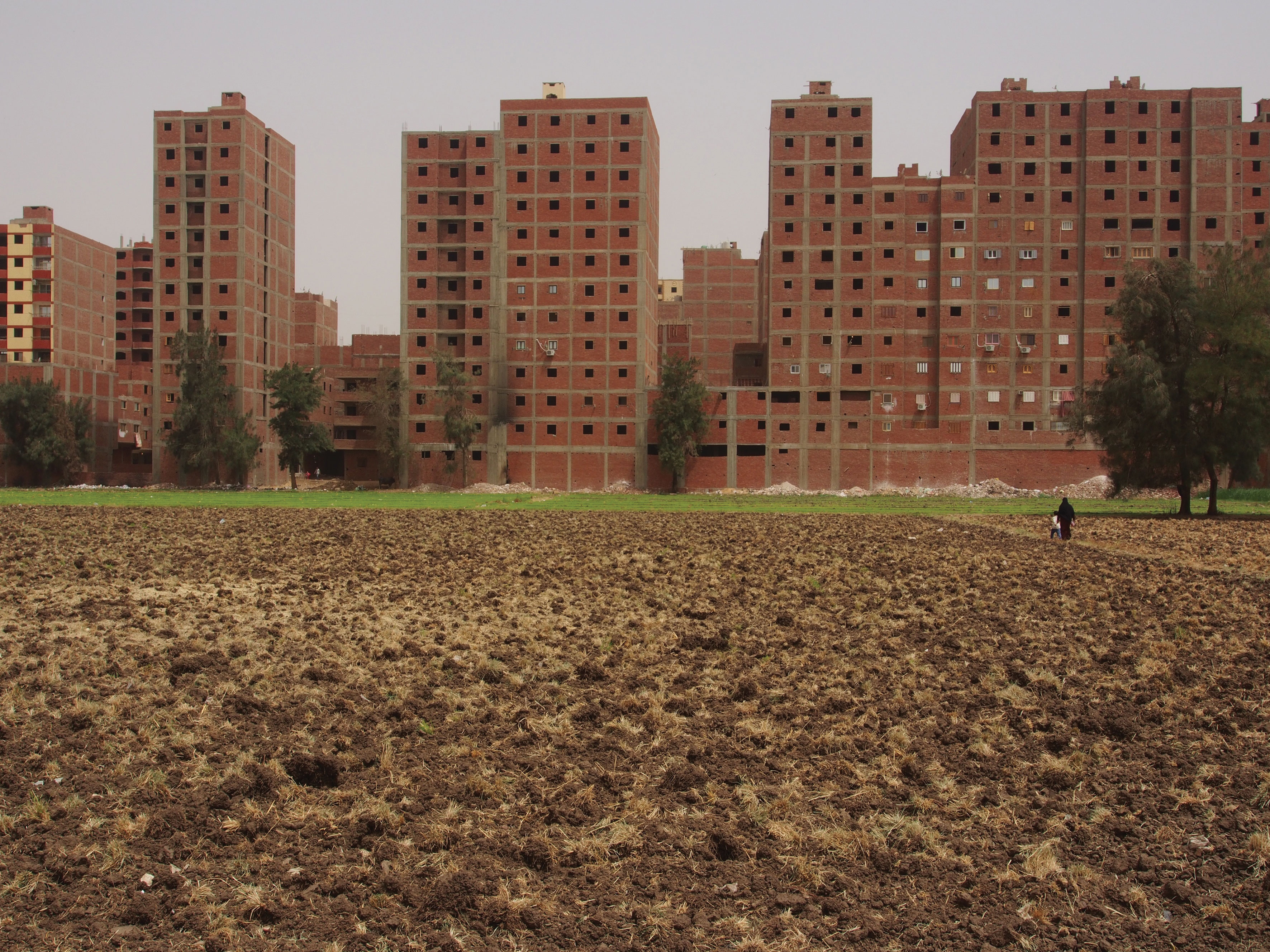 Mariutyia, Le Caire. Constructions récentes surplombant des champs