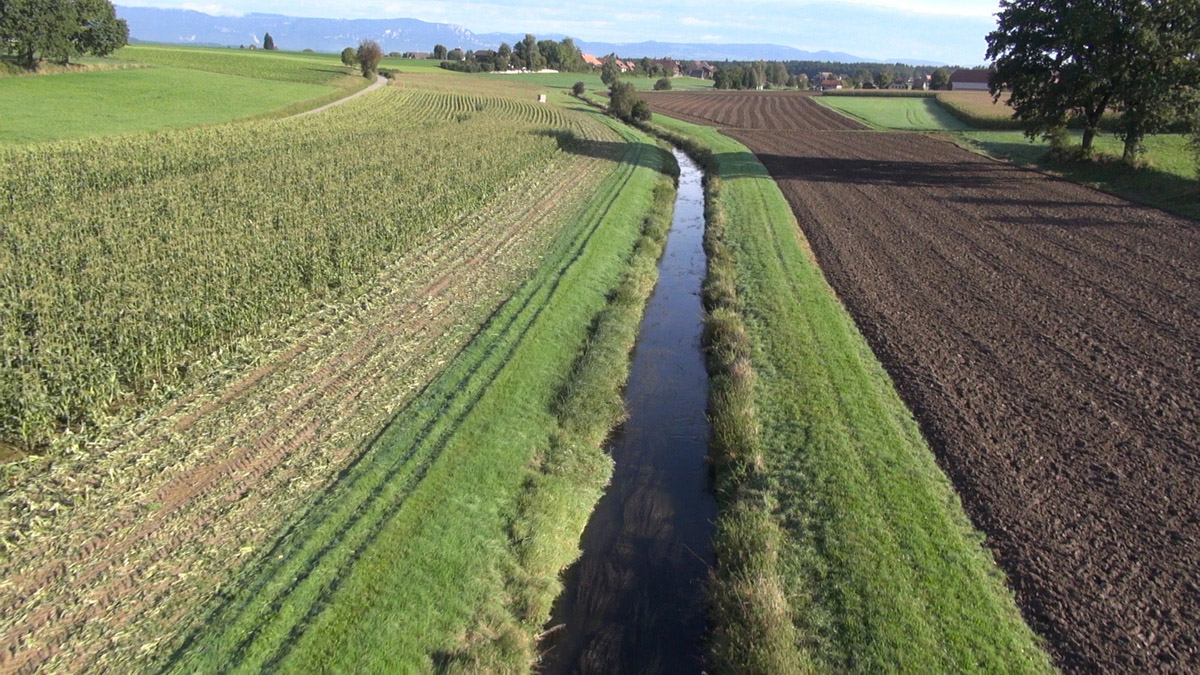 Die Urtenen in einem begradigten Abschnitt: Kleine und mittelgrosse Flüsse und Bäche sind von den Mikroverunreinigungen am stärksten betroffen.